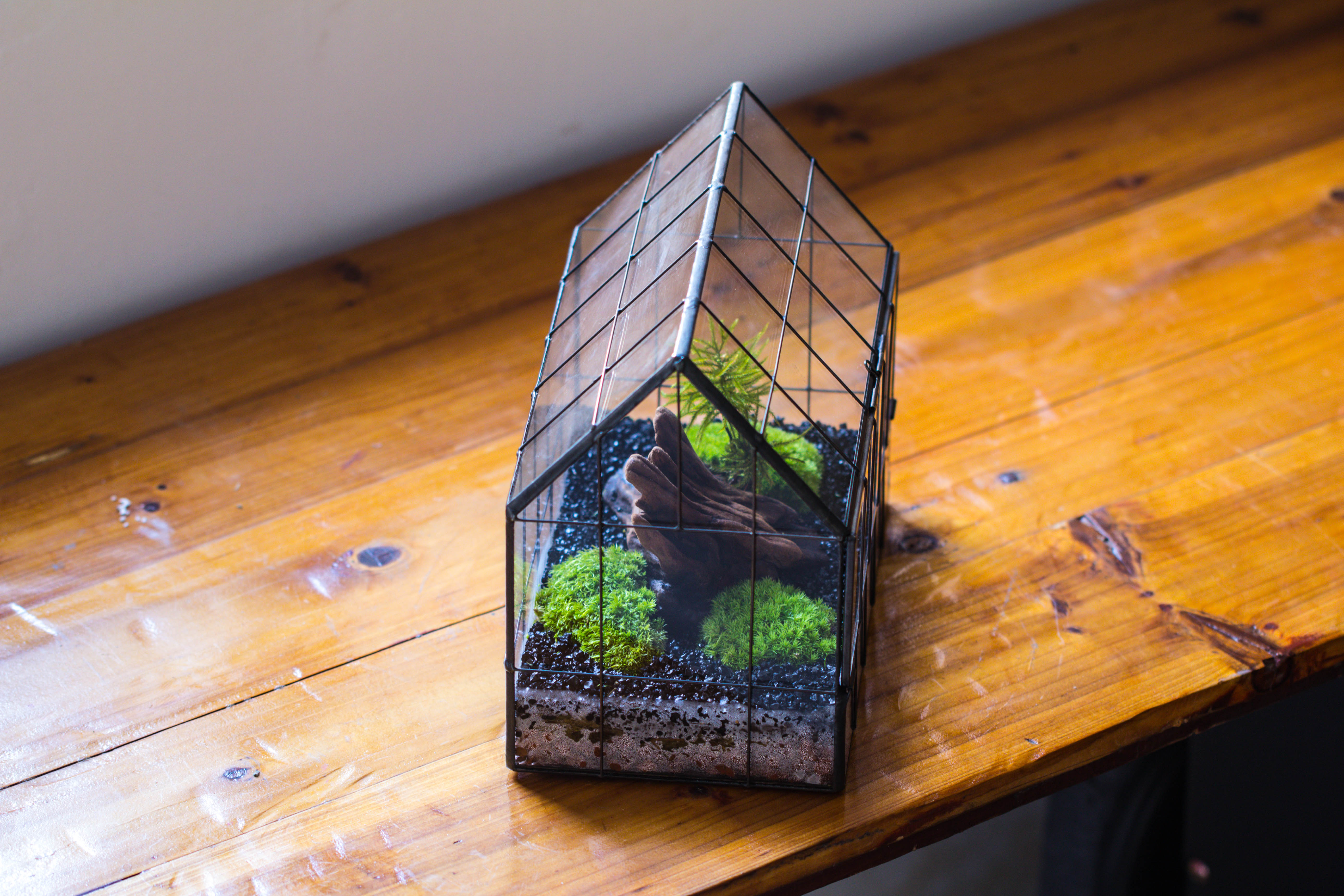 Vintge Greenhouse inspired tin and glass geometric Terarium, side door, Close, for moss, fern, shade plants, micro landscape - NCYPgarden