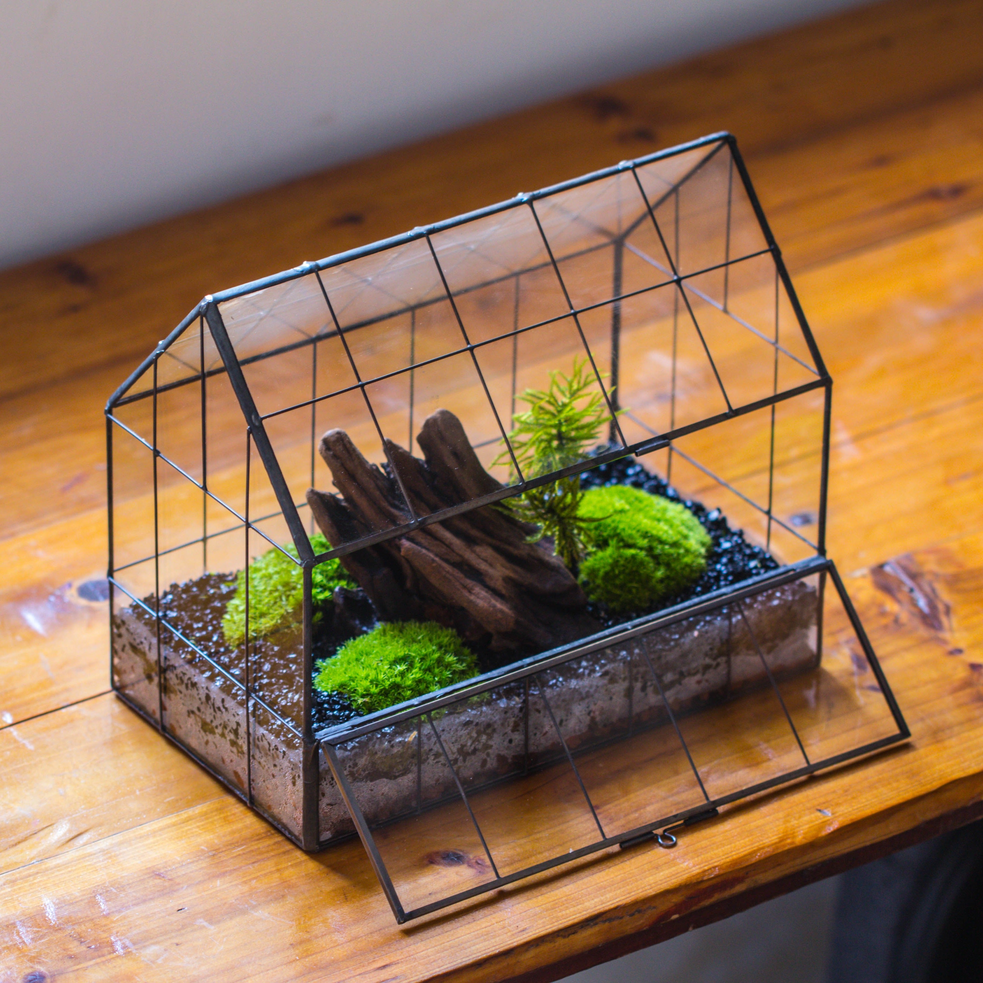 Vintge Greenhouse inspired tin and glass geometric Terarium, side door, Close, for moss, fern, shade plants, micro landscape - NCYPgarden