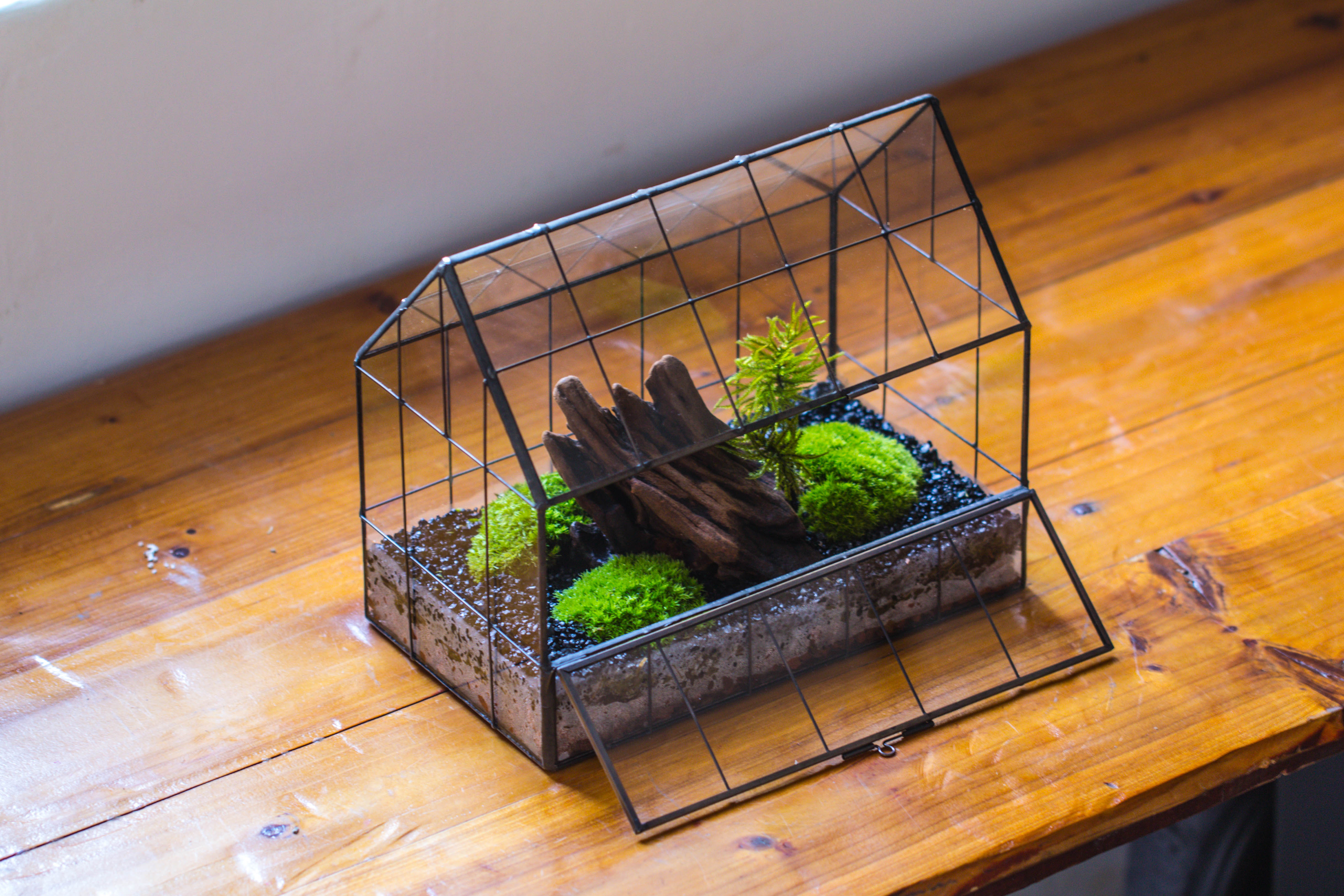 Vintge Greenhouse inspired tin and glass geometric Terarium, side door, Close, for moss, fern, shade plants, micro landscape - NCYPgarden