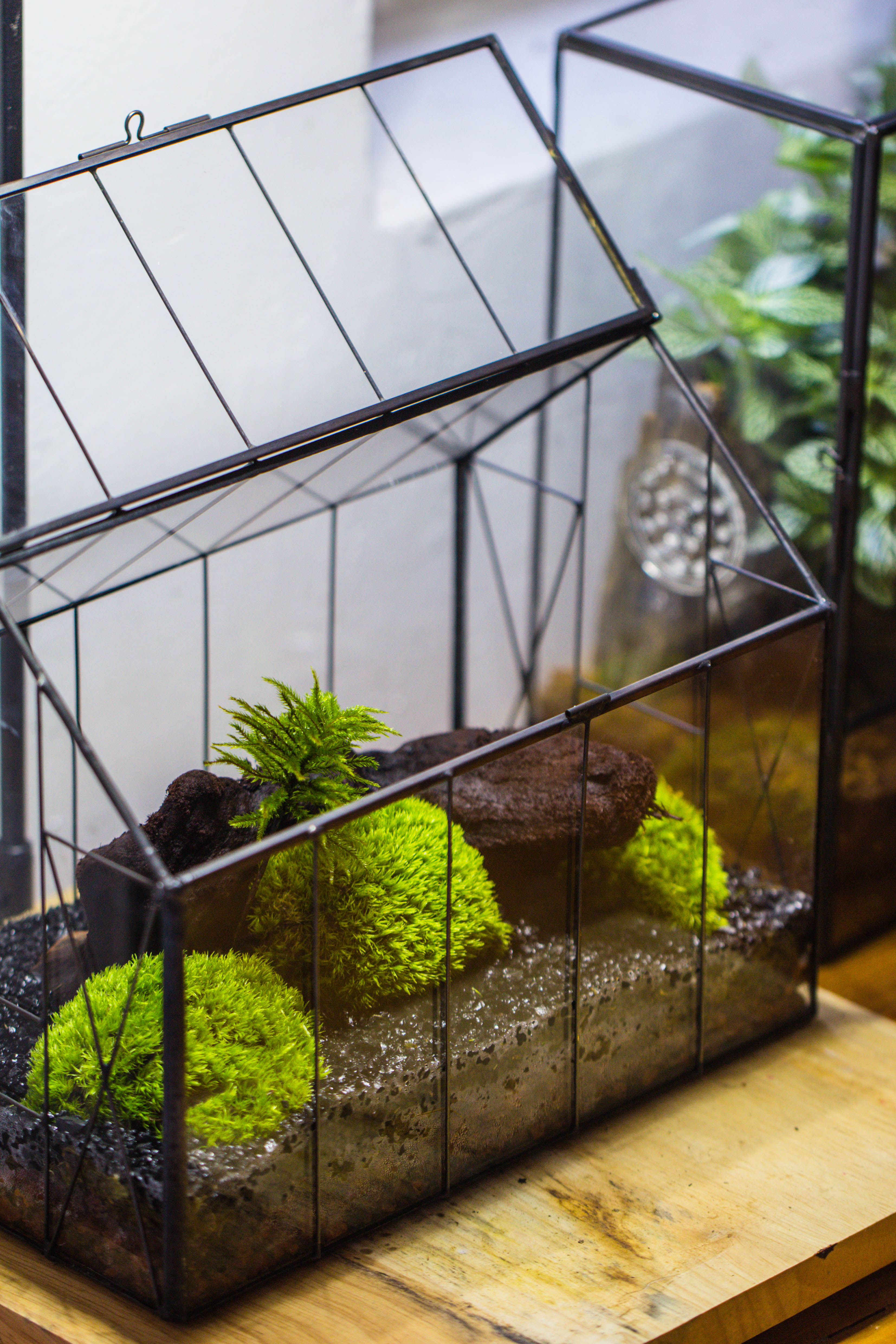 Vintge Greenhouse inspired tin and glass geometric terrarium Terarium, Close, for moss, fern, shade plants, micro landscape - NCYPgarden