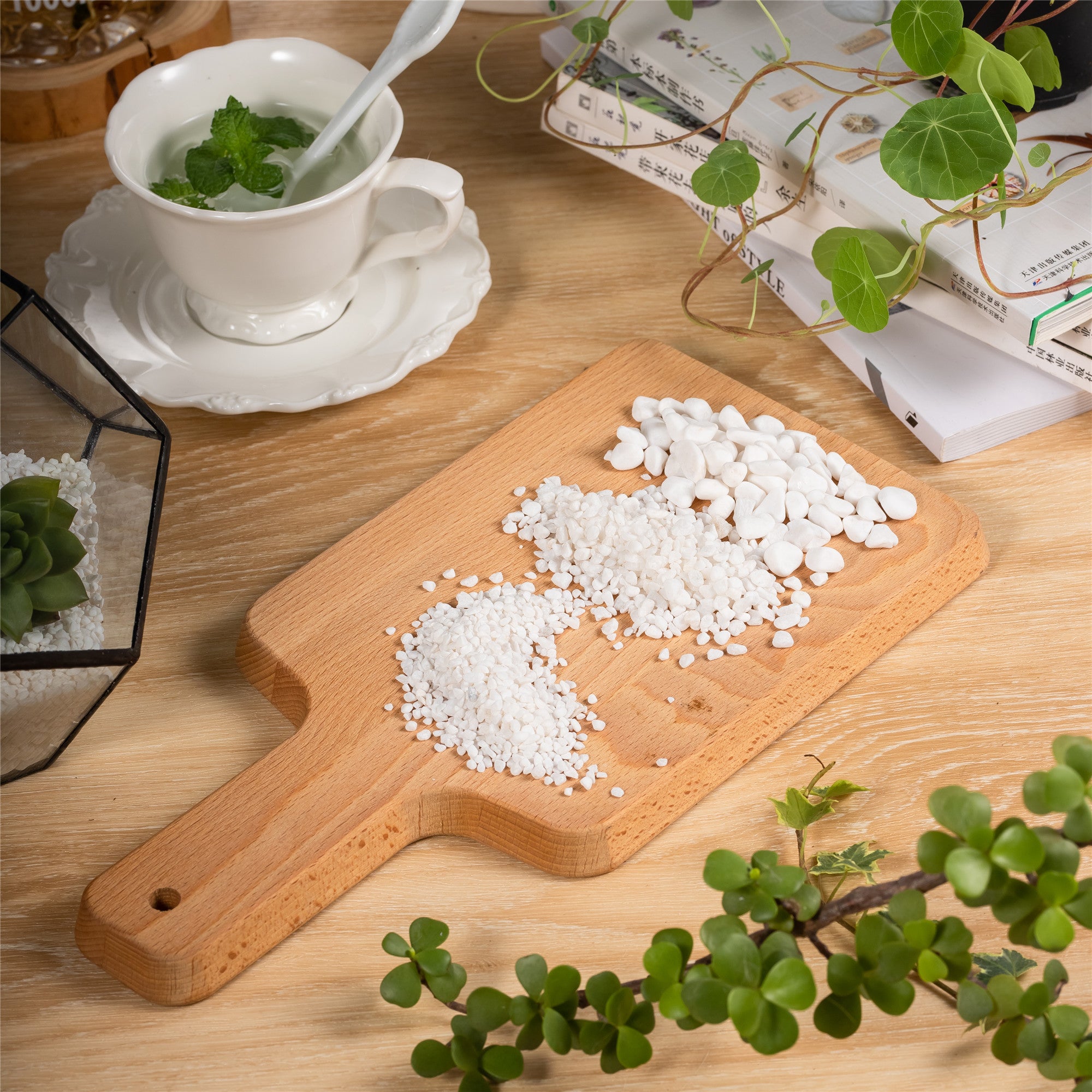 Decorative White Pebble Rocks for Succulents Top Dressing, for Terrarium, Fairy Gardening - NCYPgarden