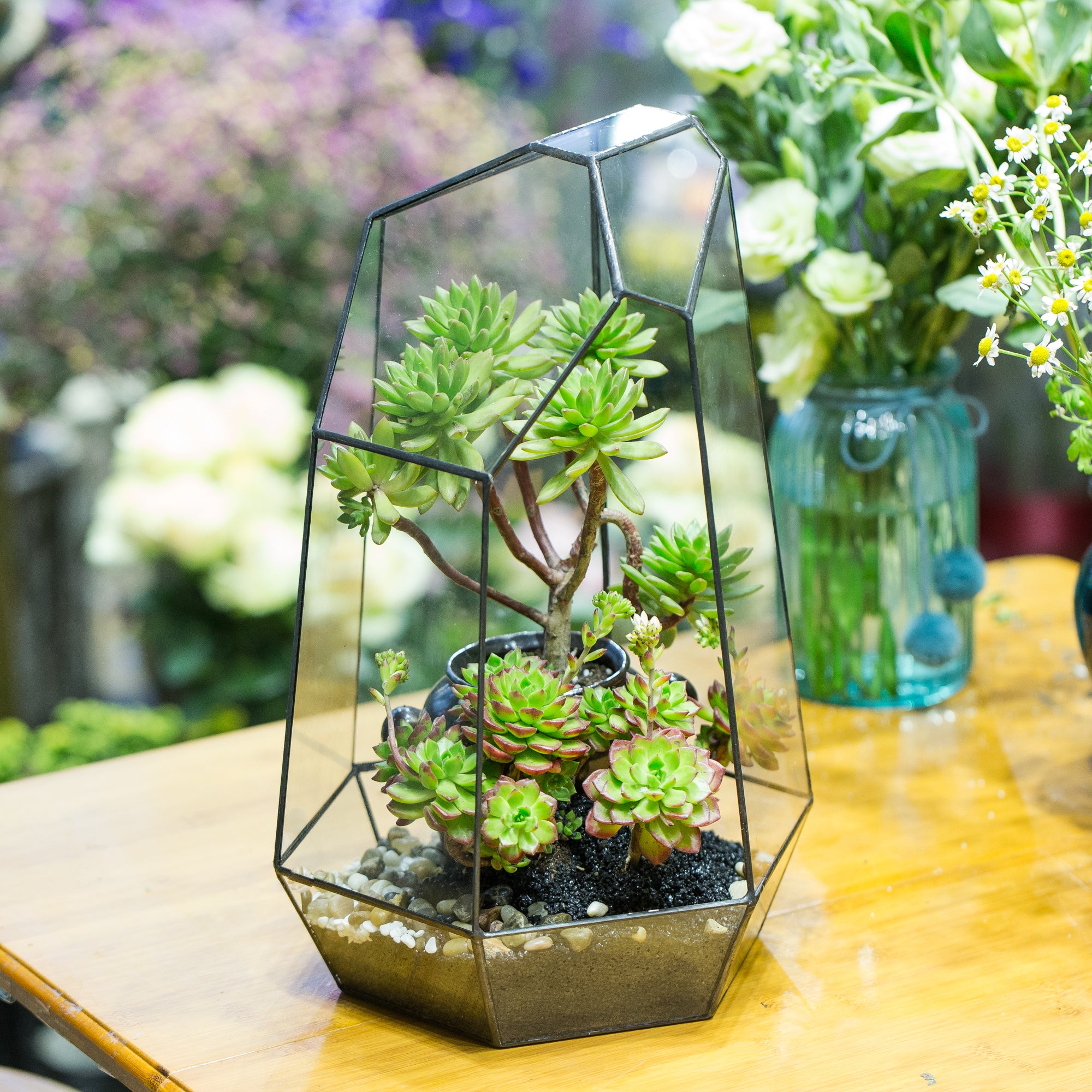 Handmade Black Various Size Irregular Tall Geometric Glass Terrarium Garden Succulents - NCYPgarden