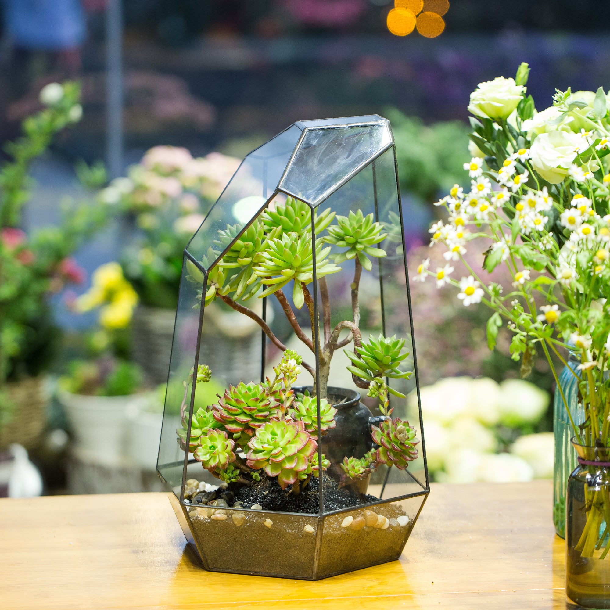 Handmade Black Various Size Irregular Tall Geometric Glass Terrarium Garden Succulents - NCYPgarden