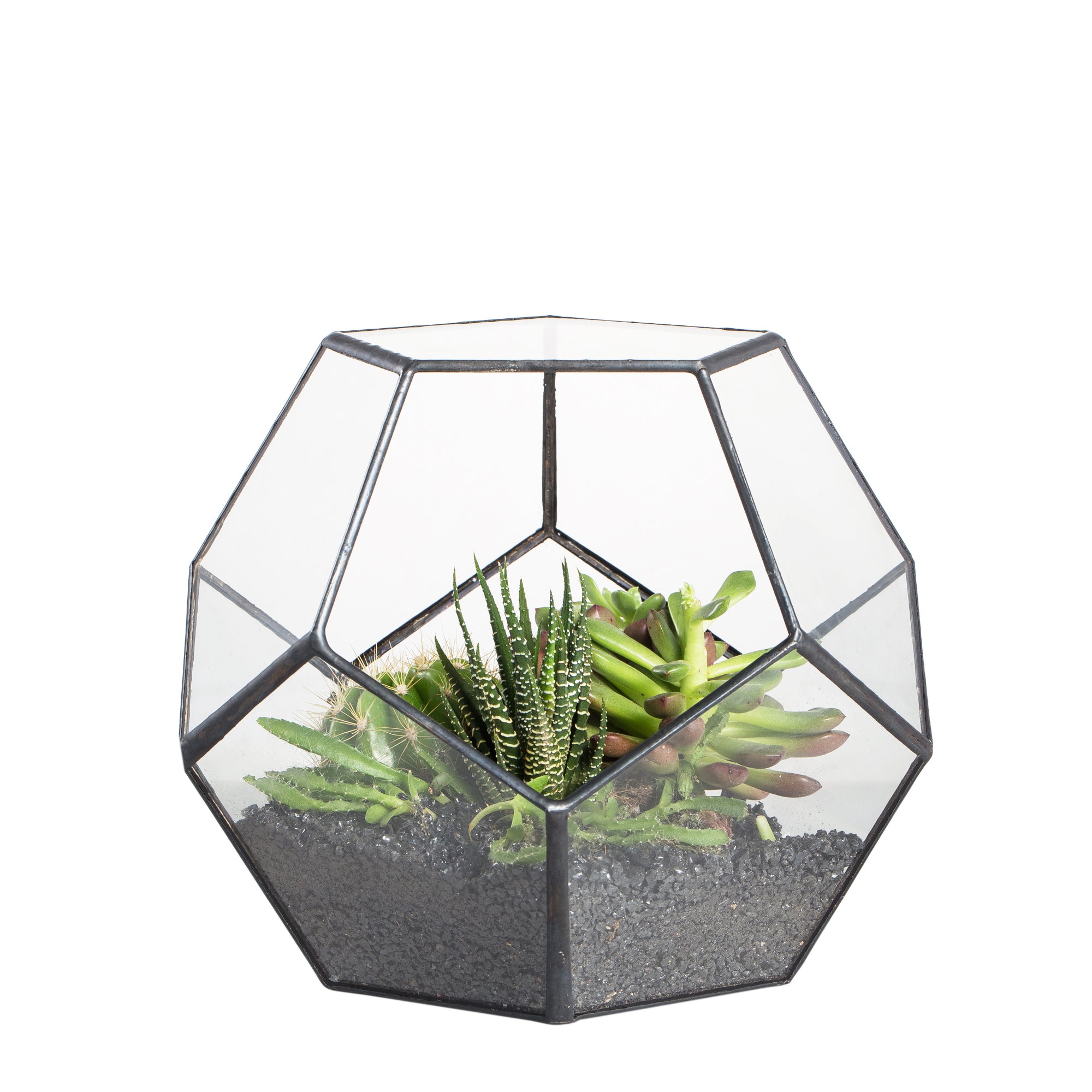 Handmade Tabletop Polyhedron Glass Geometric Terrarium for Succulent Fern Moss Air Plant - NCYPgarden