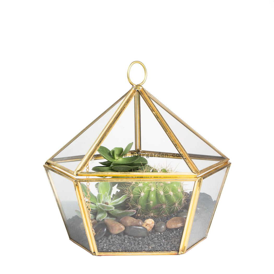 Geometric Terrarium Five Sides Tabletop Display Box — NCYPgarden