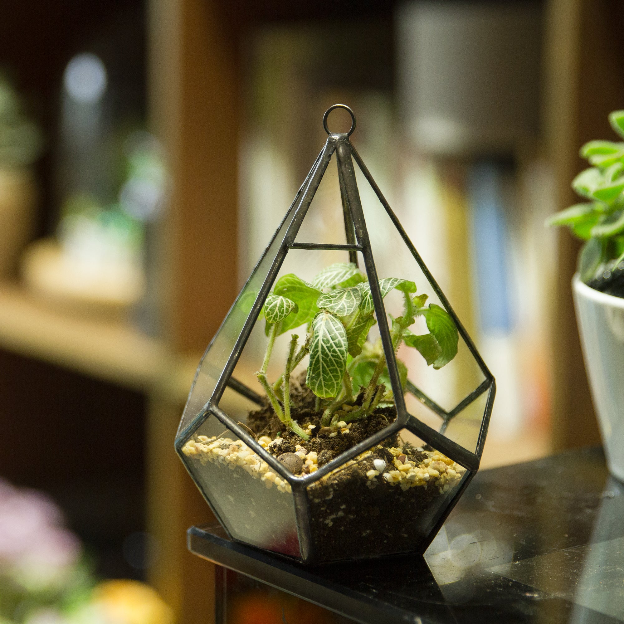 Handmade Artistic Hanging Glass Teardrop Diamond Geometric Terrarium with Loop for Succulent Moss - NCYPgarden