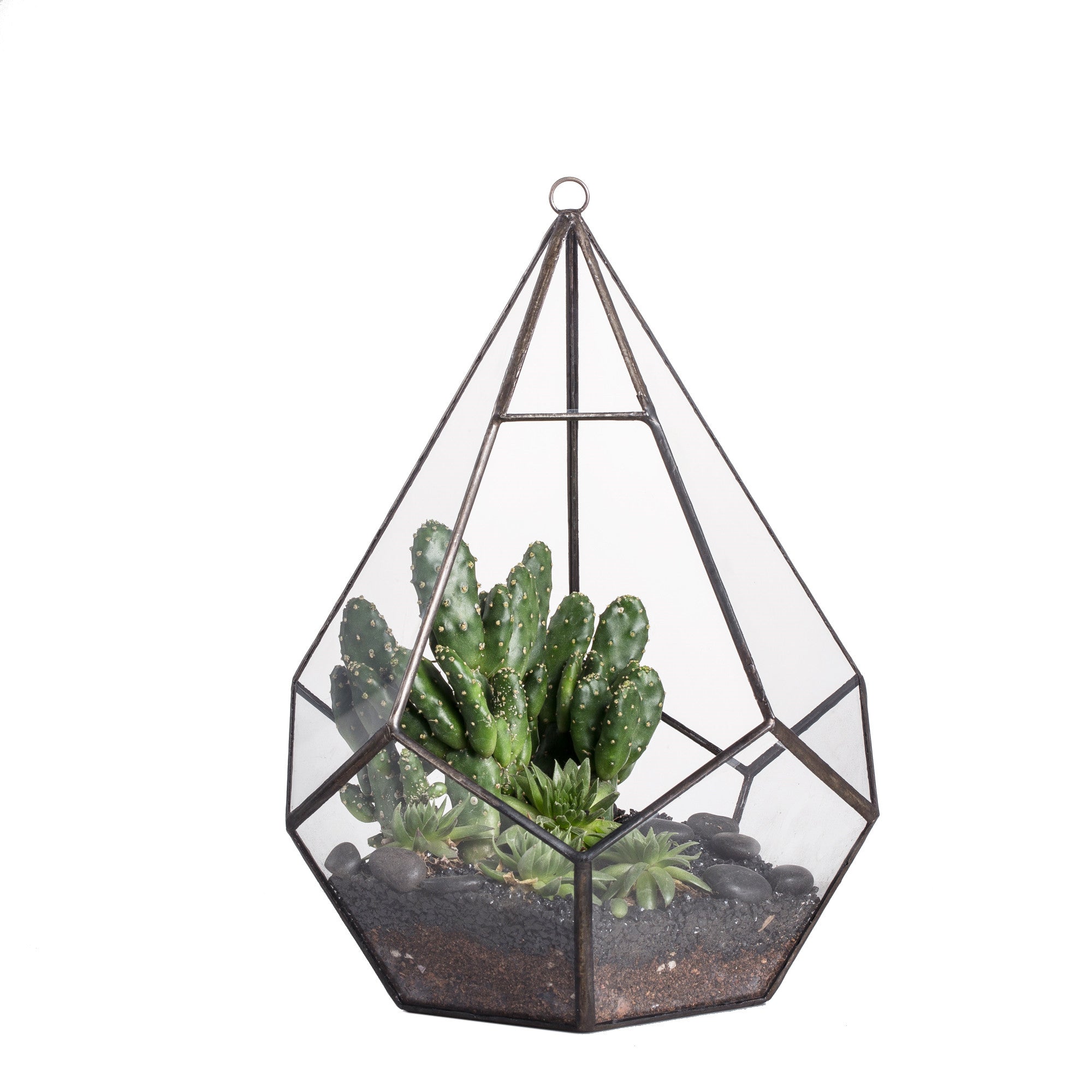 Handmade Artistic Hanging Glass Teardrop Diamond Geometric Terrarium with Loop for Succulent Moss - NCYPgarden