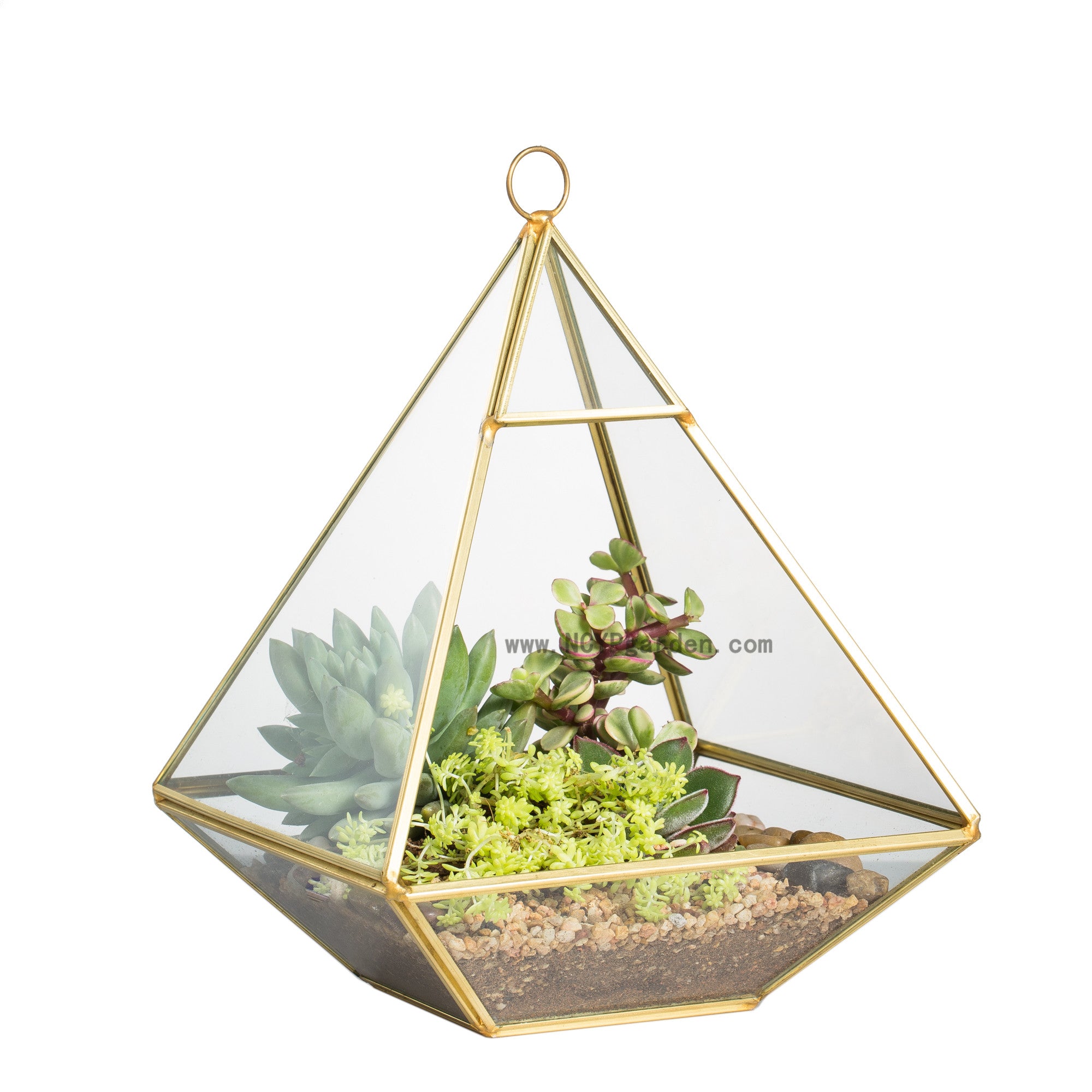 Handmade Gold Hanging Glass Geometric Terrarium Planter for Succulent Wedding Decoration - NCYPgarden