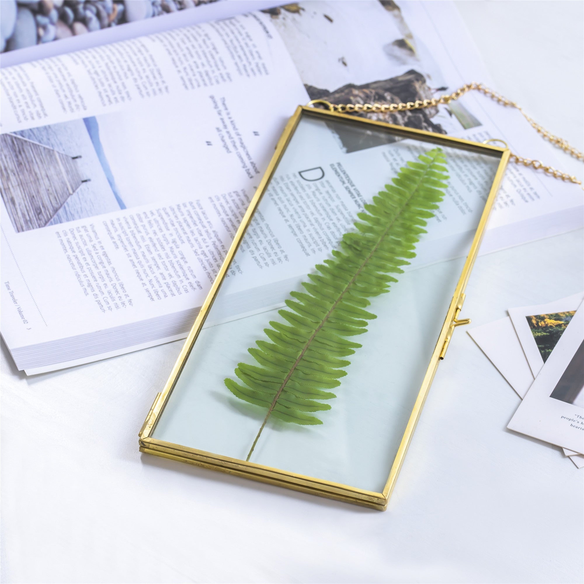 NCYP 4x9 inchs Clear Glass Picture Frame Wall Hanging Certificate Photo Plant Specimen Clip - NCYPgarden