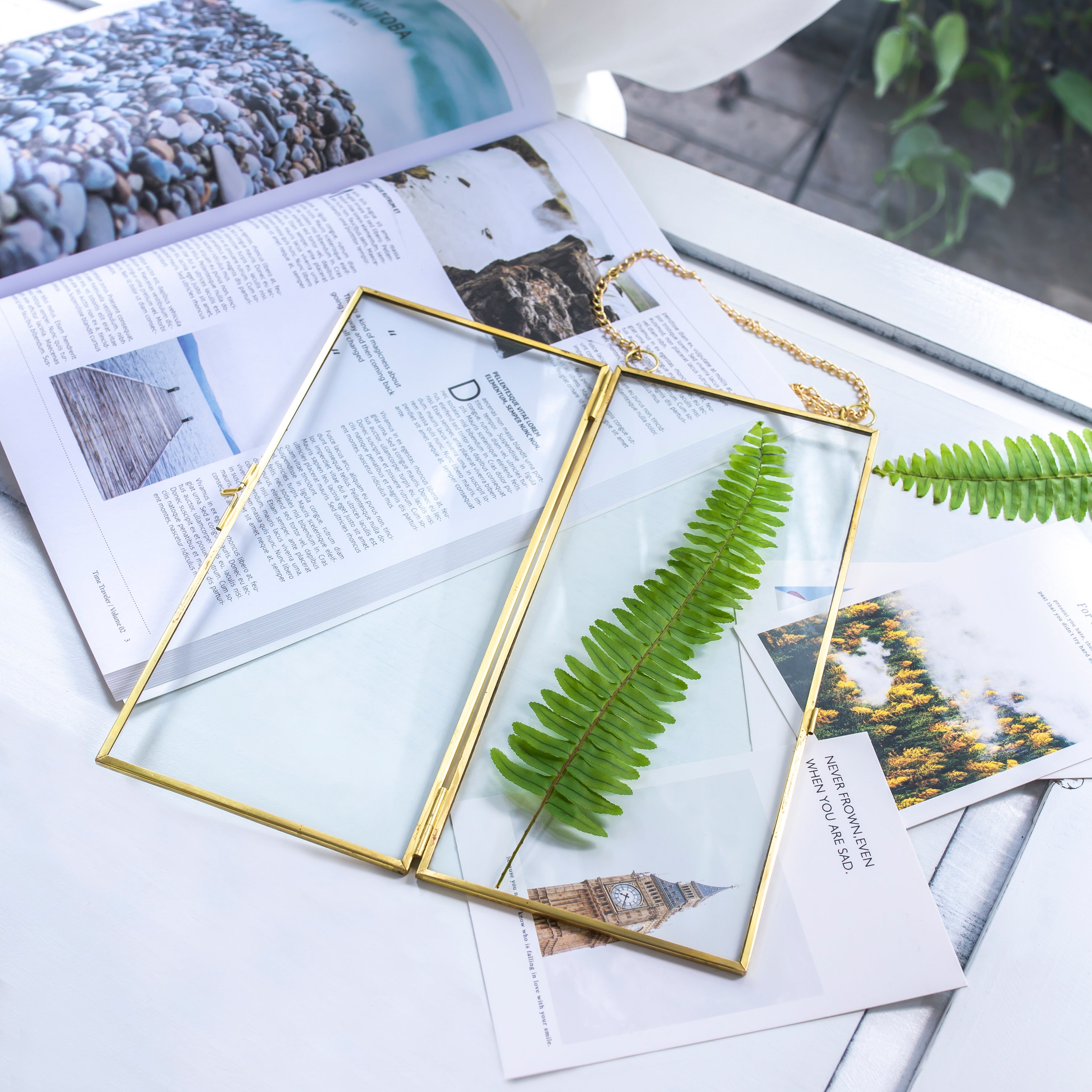 NCYP 4x9 inchs Clear Glass Picture Frame Wall Hanging Certificate Photo Plant Specimen Clip - NCYPgarden