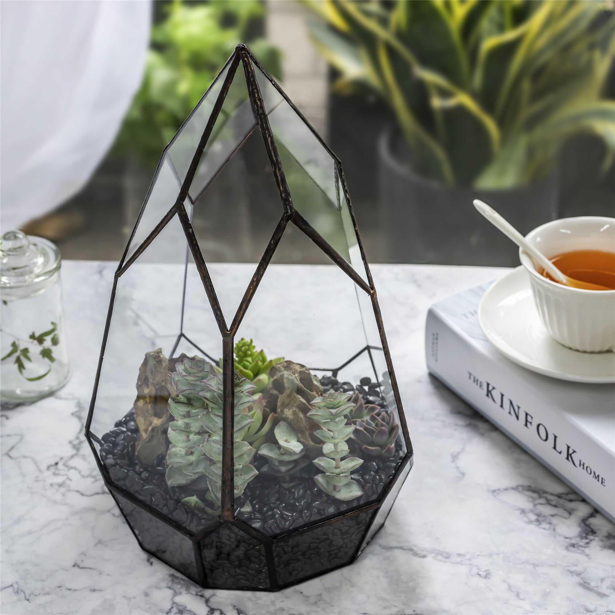 NCYP Irregular Open Geometric Glass Terrarium for Succulents Planter Pot Dessert Landscape Bonsai - NCYPgarden