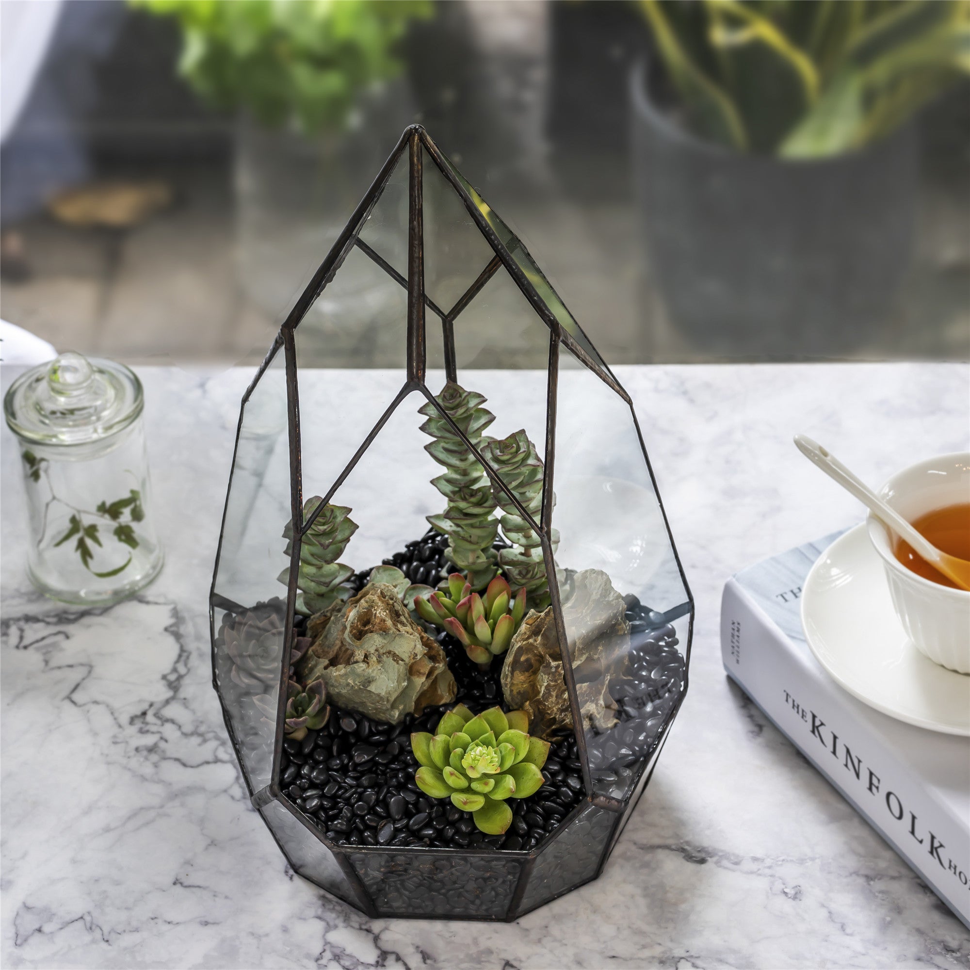 NCYP Irregular Open Geometric Glass Terrarium for Succulents Planter Pot Dessert Landscape Bonsai - NCYPgarden