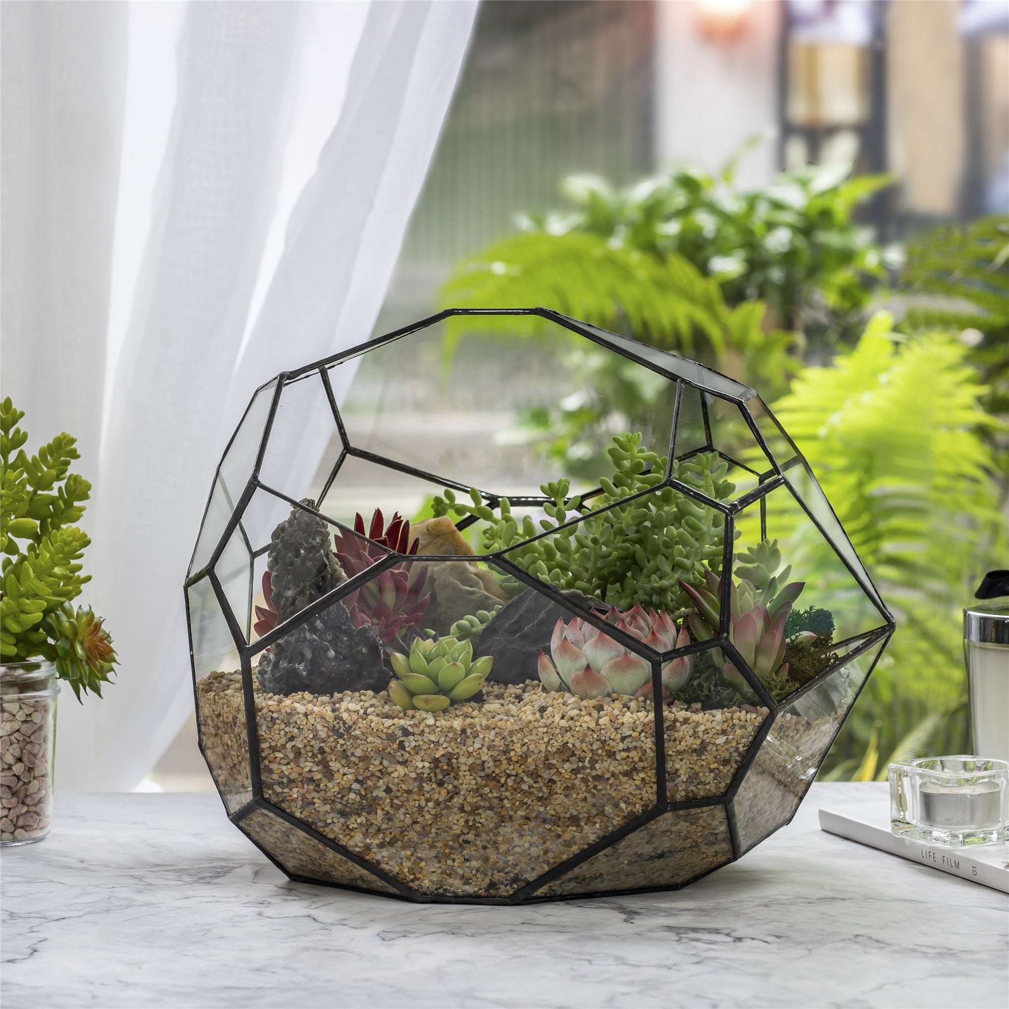 NCYP Irregular Open Geometric Glass Terrarium Bubble Shape for Succulents Landscape Bonsai - NCYPgarden