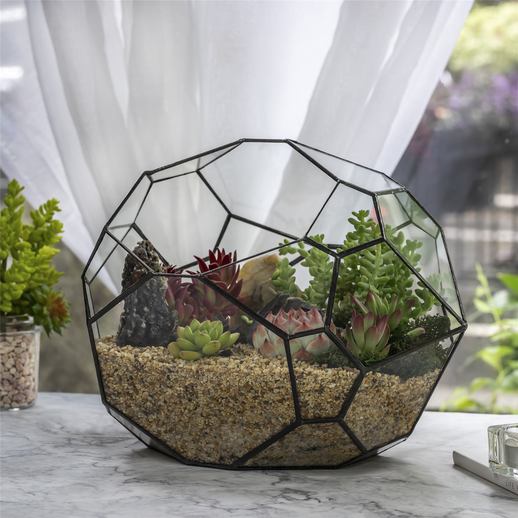 NCYP Irregular Open Geometric Glass Terrarium Bubble Shape for Succulents Landscape Bonsai - NCYPgarden