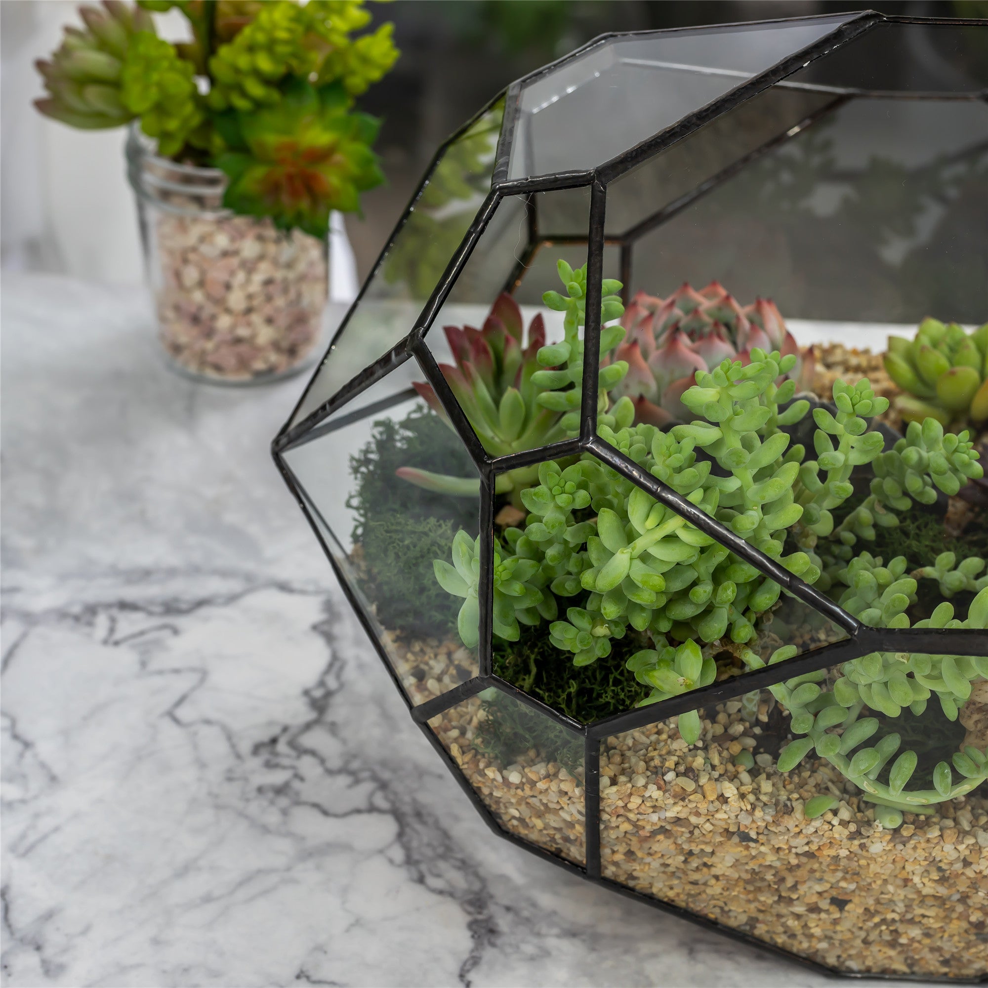 NCYP Irregular Open Geometric Glass Terrarium Bubble Shape for Succulents Landscape Bonsai - NCYPgarden