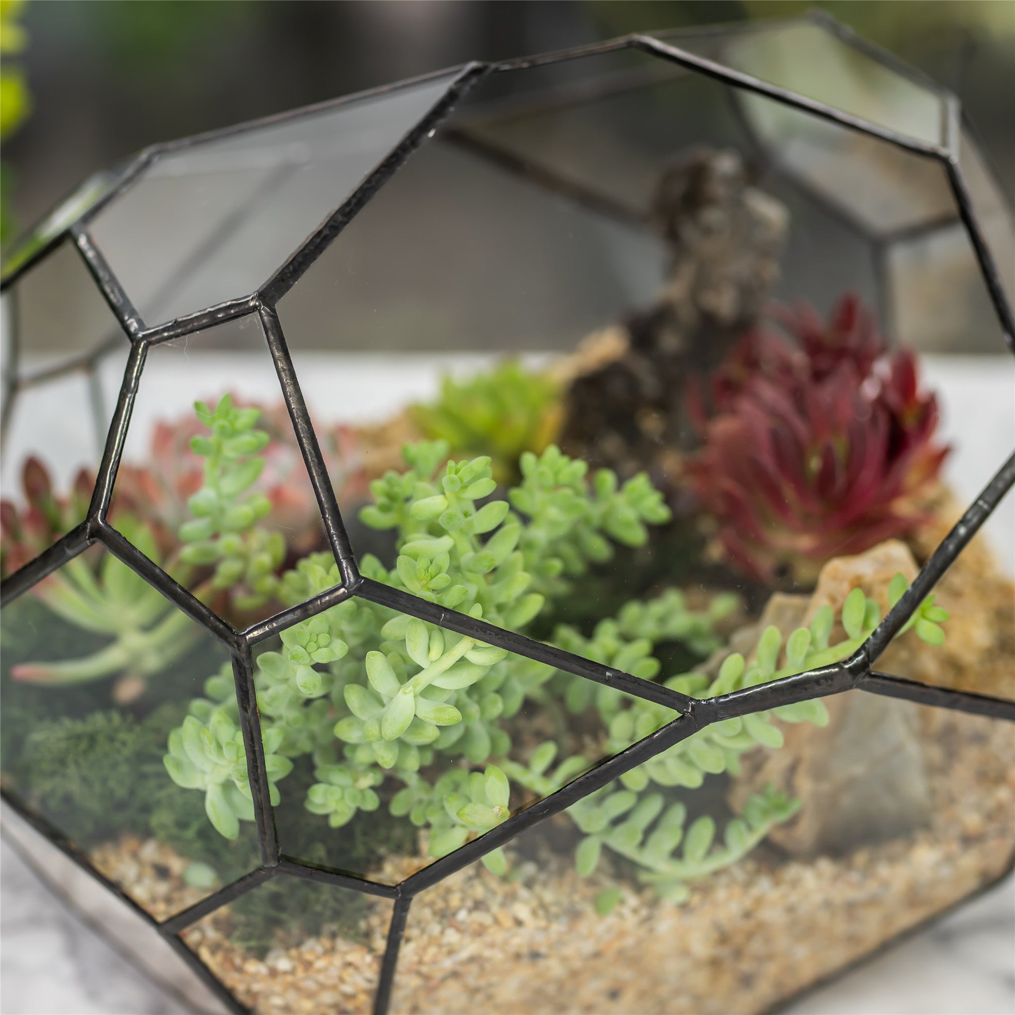 NCYP Irregular Open Geometric Glass Terrarium Bubble Shape for Succulents Landscape Bonsai - NCYPgarden