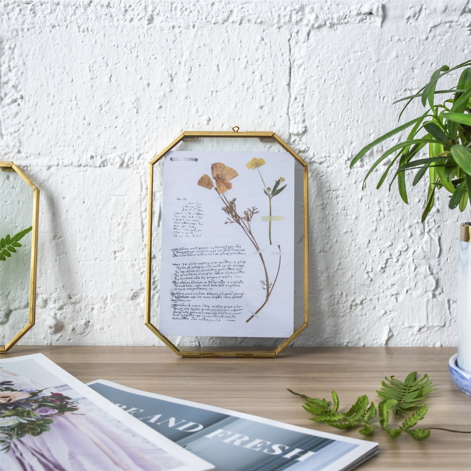 Wall Hanging Long Octagon Herbarium Brass Glass Frame for Pressed Flowers Dried floating Frame - NCYPgarden