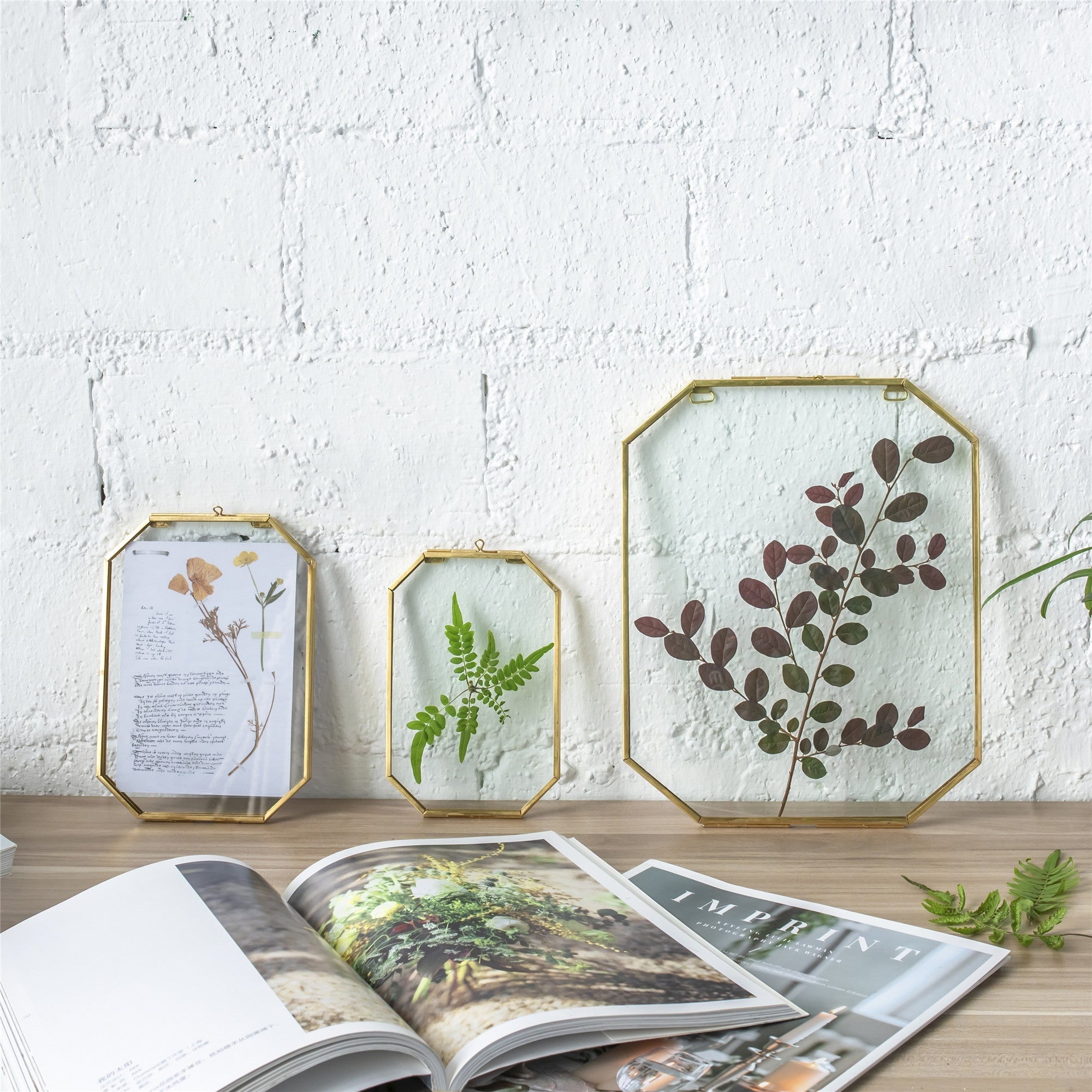 Wall Hanging Long Octagon Herbarium Brass Glass Frame for Pressed Flowers Dried floating Frame - NCYPgarden