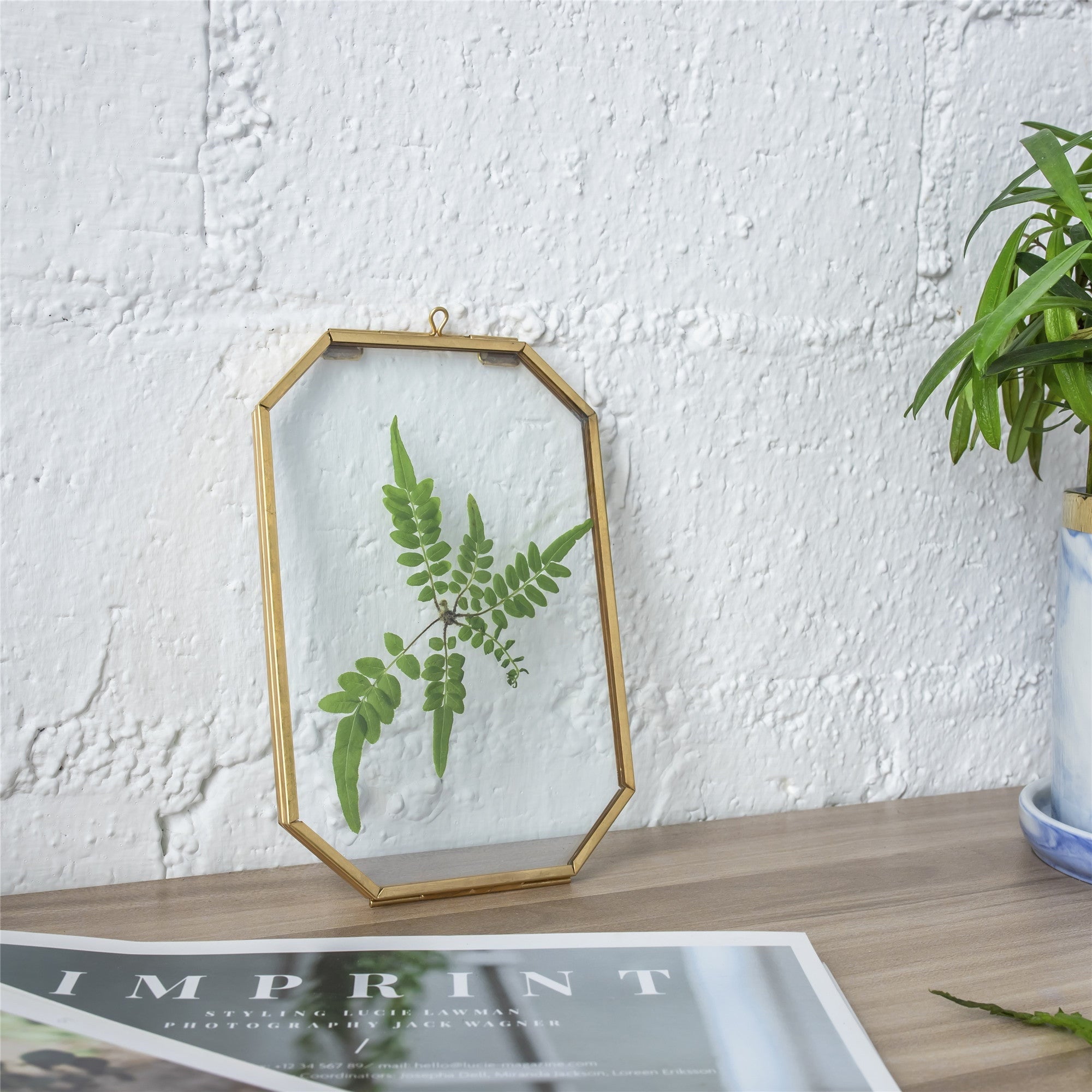 Wall Hanging Long Octagon Herbarium Brass Glass Frame for Pressed Flowers Dried floating Frame - NCYPgarden