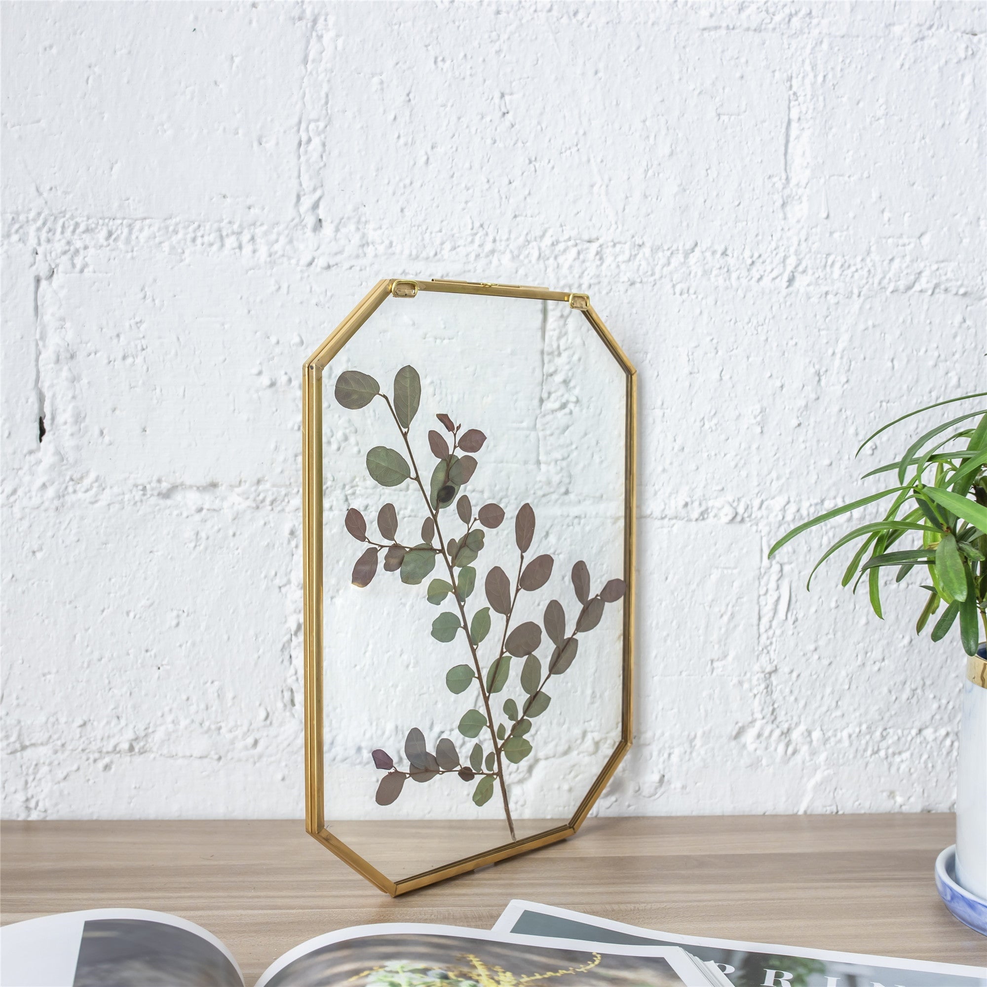 Wall Hanging Long Octagon Herbarium Brass Glass Frame for Pressed Flowers Dried floating Frame - NCYPgarden