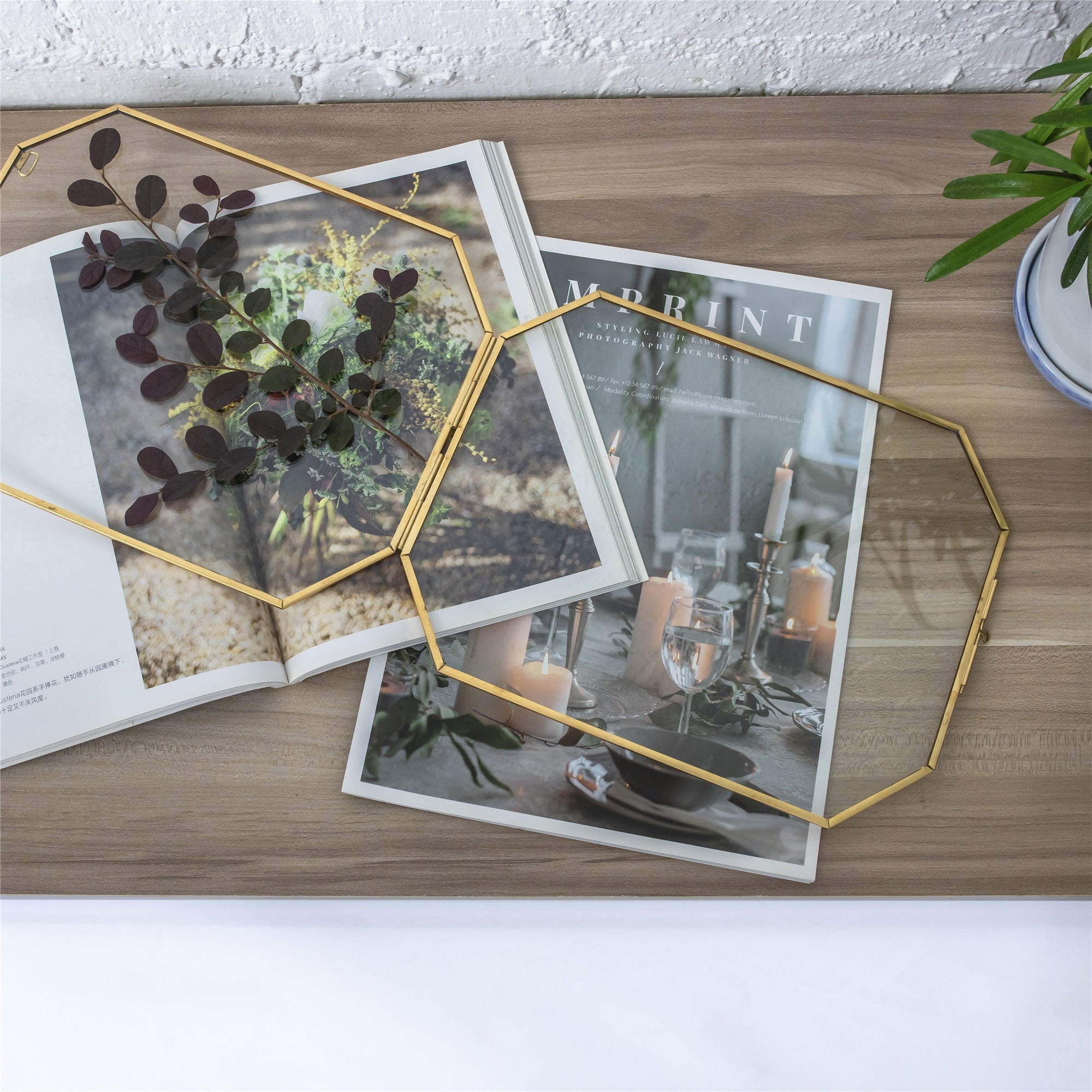 Wall Hanging Long Octagon Herbarium Brass Glass Frame for Pressed Flowers Dried floating Frame - NCYPgarden