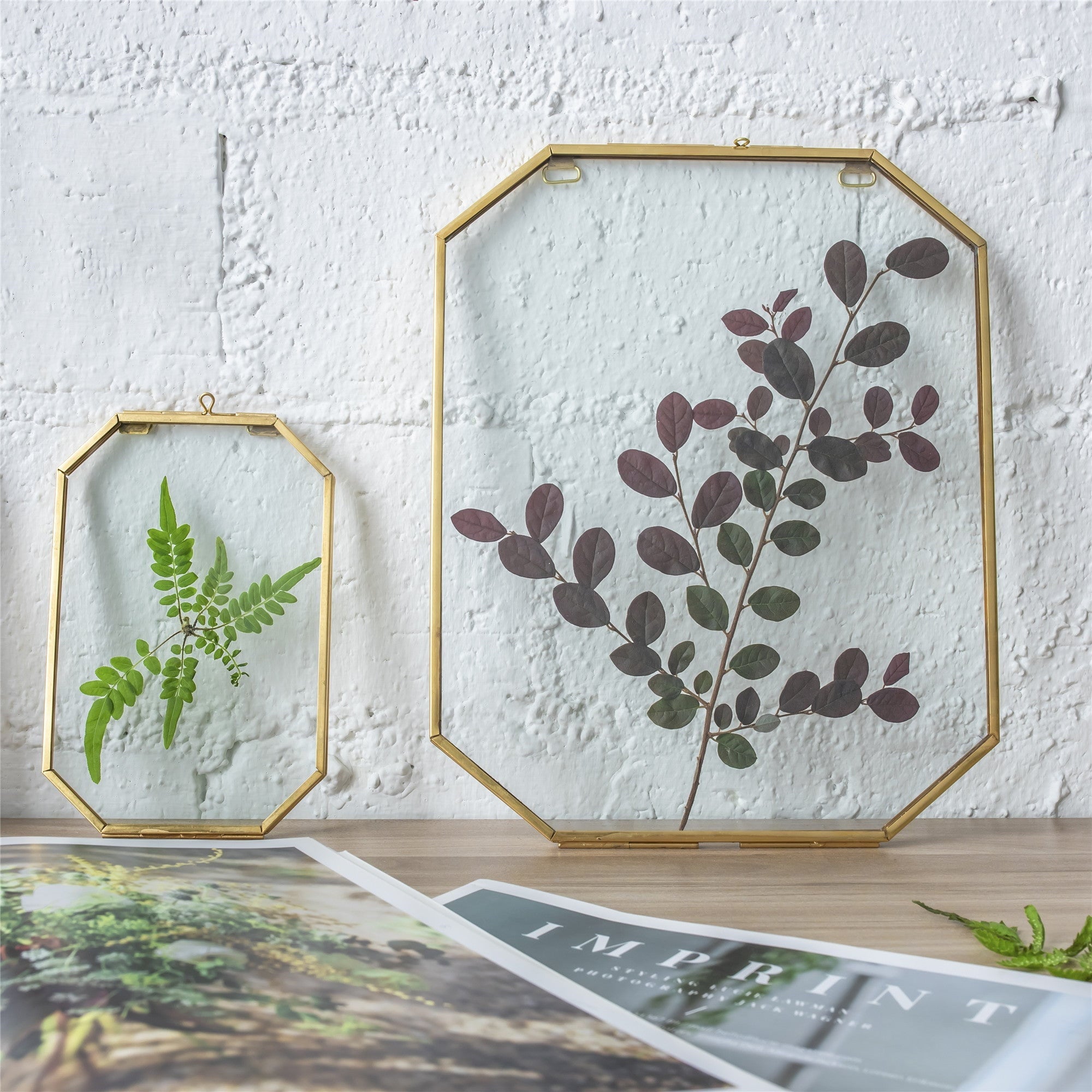 Wall Hanging Long Octagon Herbarium Brass Glass Frame for Pressed Flowers Dried floating Frame - NCYPgarden