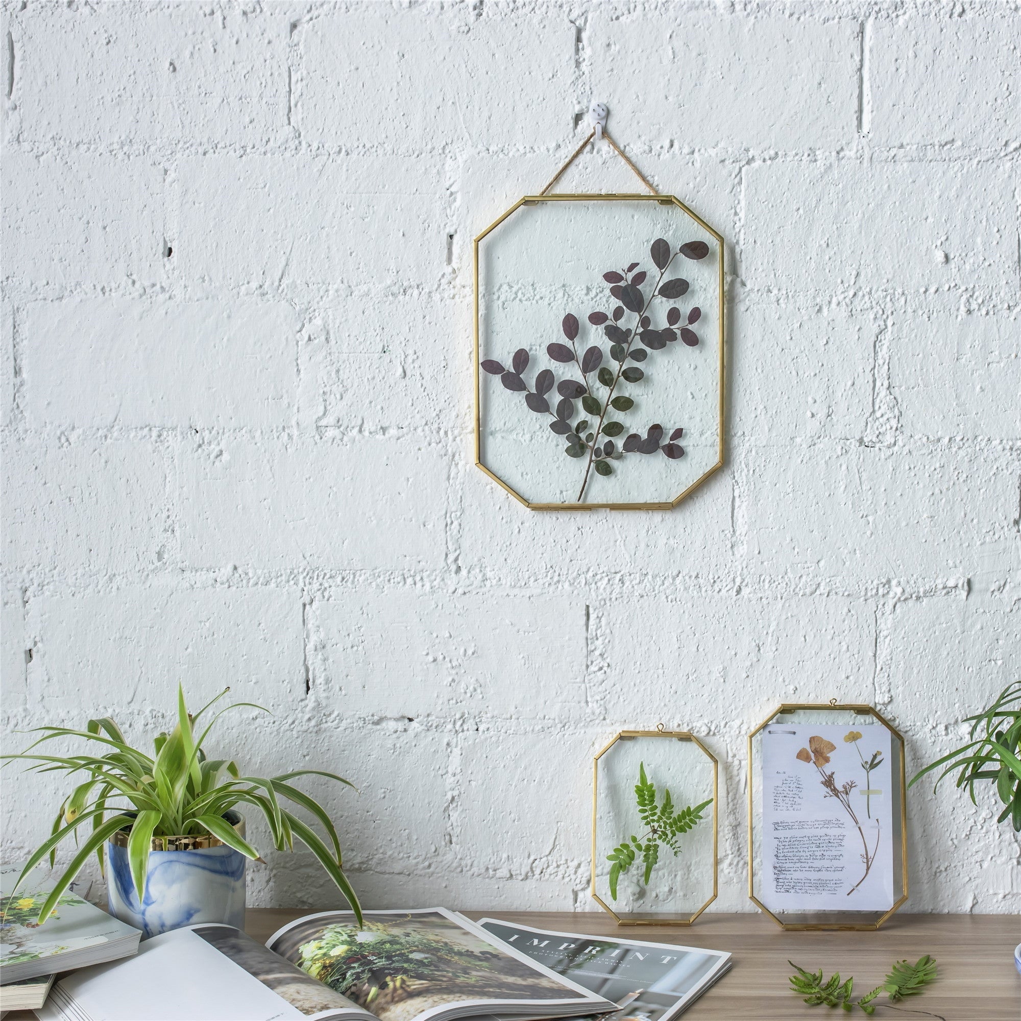 Wall Hanging Long Octagon Herbarium Brass Glass Frame for Pressed Flowers Dried floating Frame - NCYPgarden