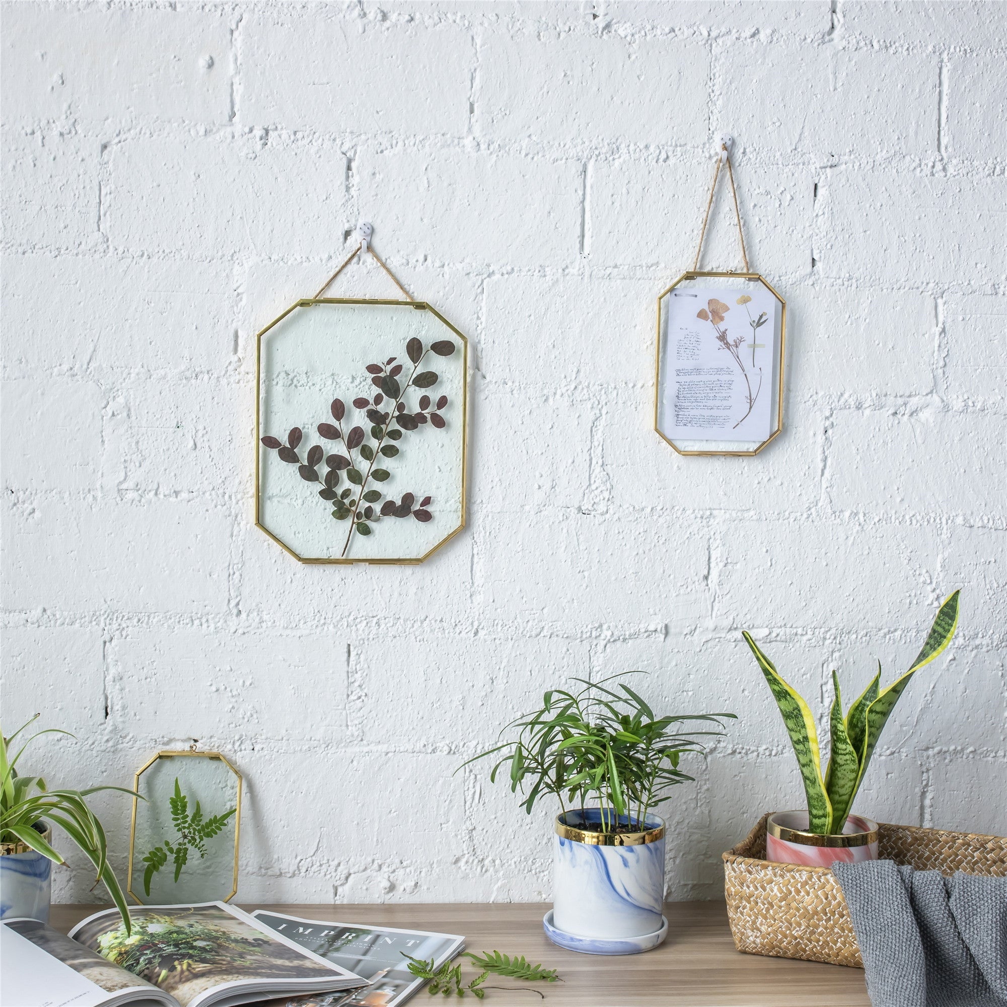 Wall Hanging Long Octagon Herbarium Brass Glass Frame for Pressed Flowers Dried floating Frame - NCYPgarden