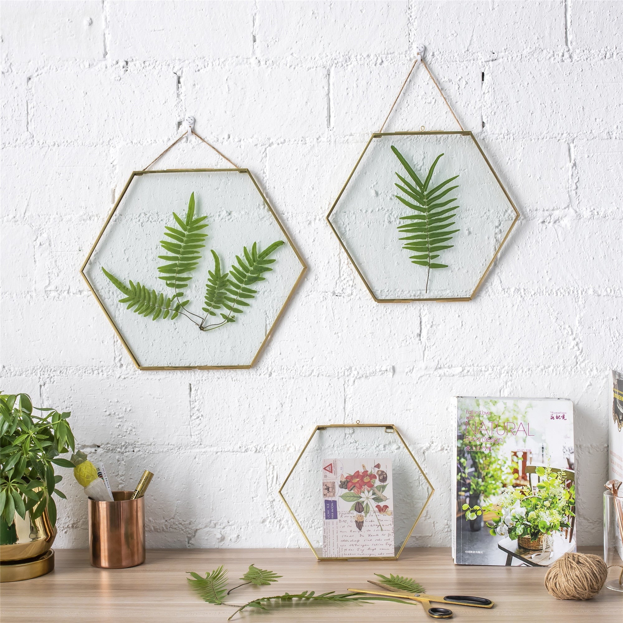 Hanging Hexagon Herbarium Brass Glass Frame for Pressed Flowers Dried Flowers Floating Frame - NCYPgarden