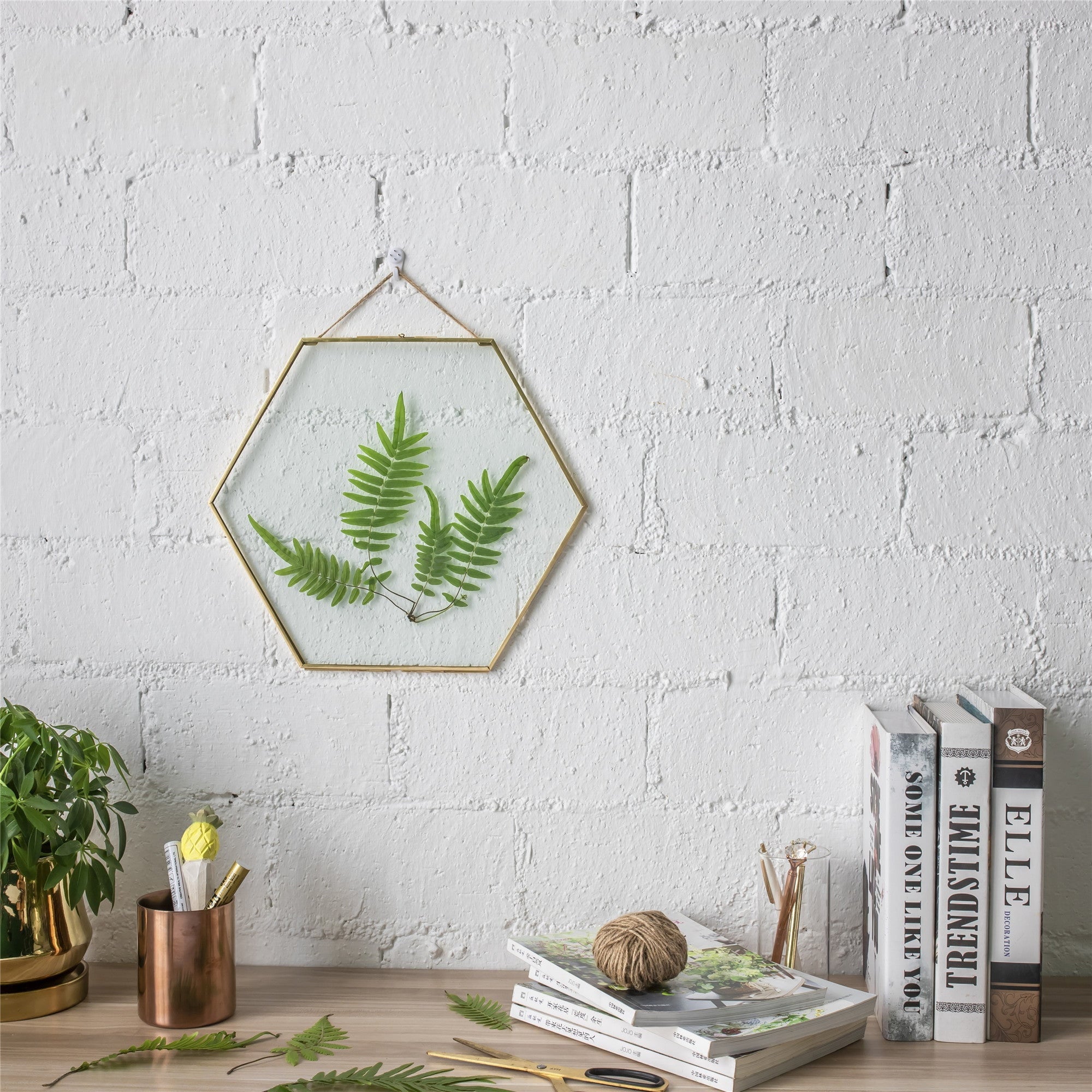 Hanging Hexagon Herbarium Brass Glass Frame for Pressed Flowers Dried Flowers Floating Frame - NCYPgarden