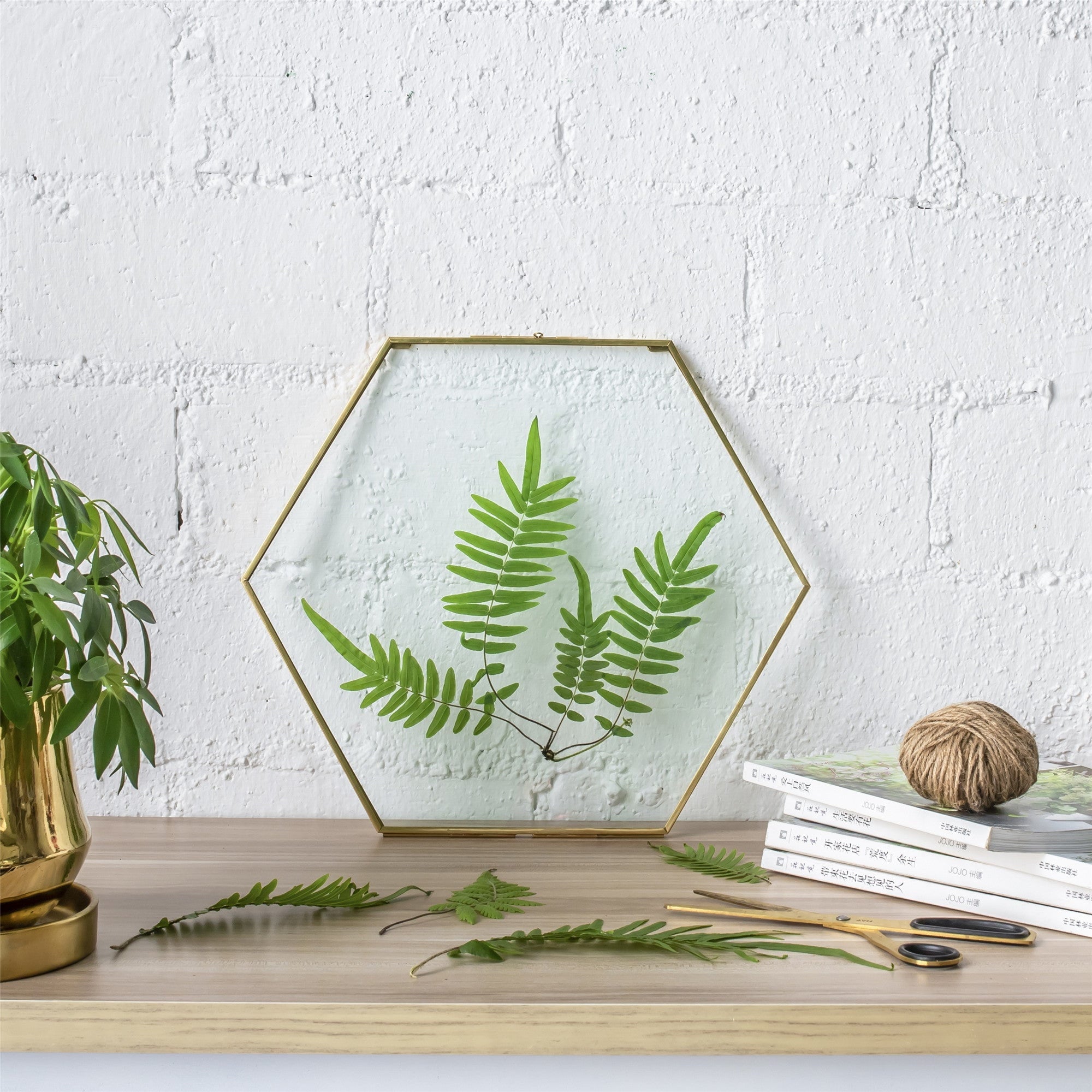 Hanging Hexagon Herbarium Brass Glass Frame for Pressed Flowers Dried Flowers Floating Frame - NCYPgarden