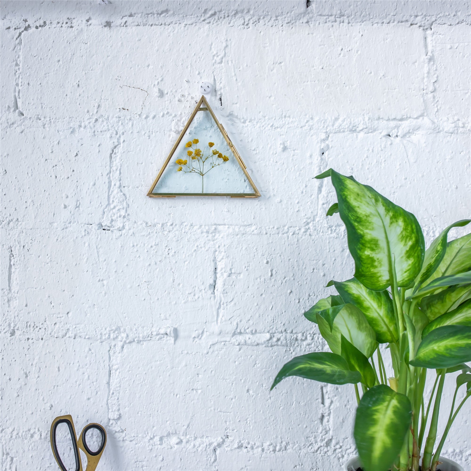 Hanging Triangle Herbarium Brass Glass Frame for Pressed Flowers Dried Flowers Poster - NCYPgarden