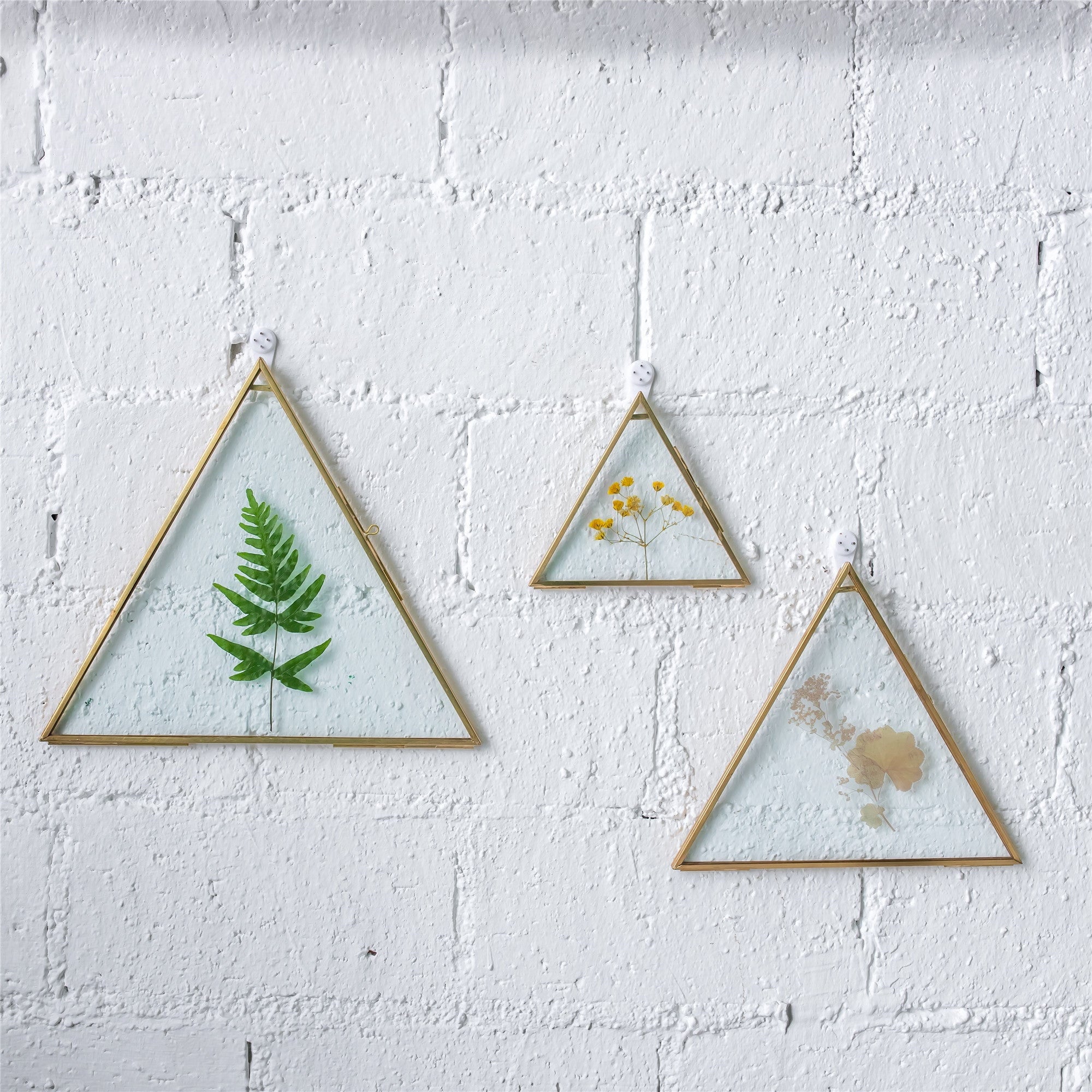 Hanging Triangle Herbarium Brass Glass Frame for Pressed Flowers Dried Flowers Poster - NCYPgarden