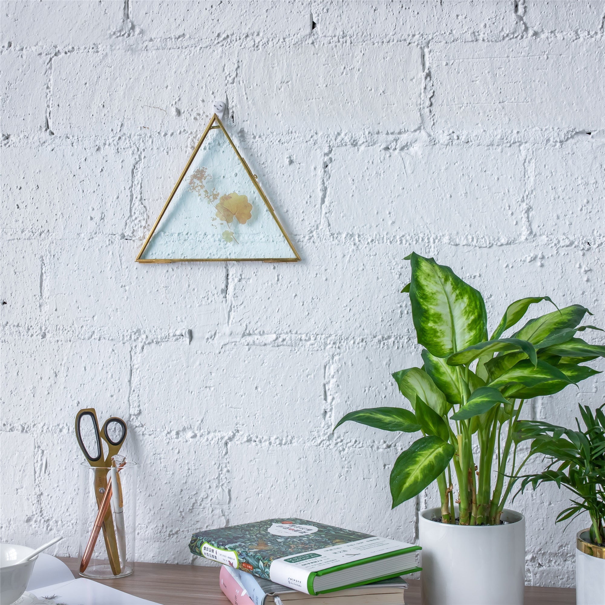 Hanging Triangle Herbarium Brass Glass Frame for Pressed Flowers Dried Flowers Poster - NCYPgarden