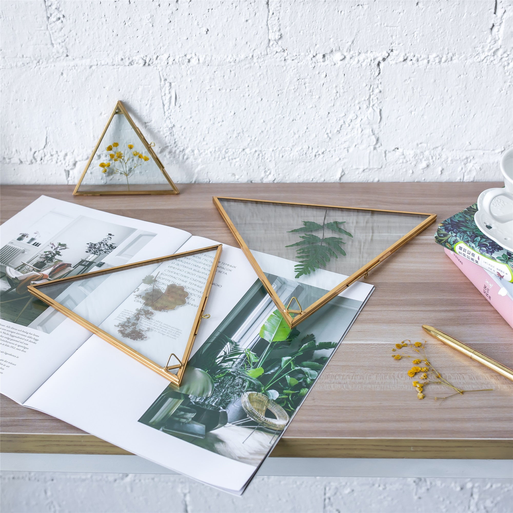 Hanging Triangle Herbarium Brass Glass Frame for Pressed Flowers Dried Flowers Poster - NCYPgarden