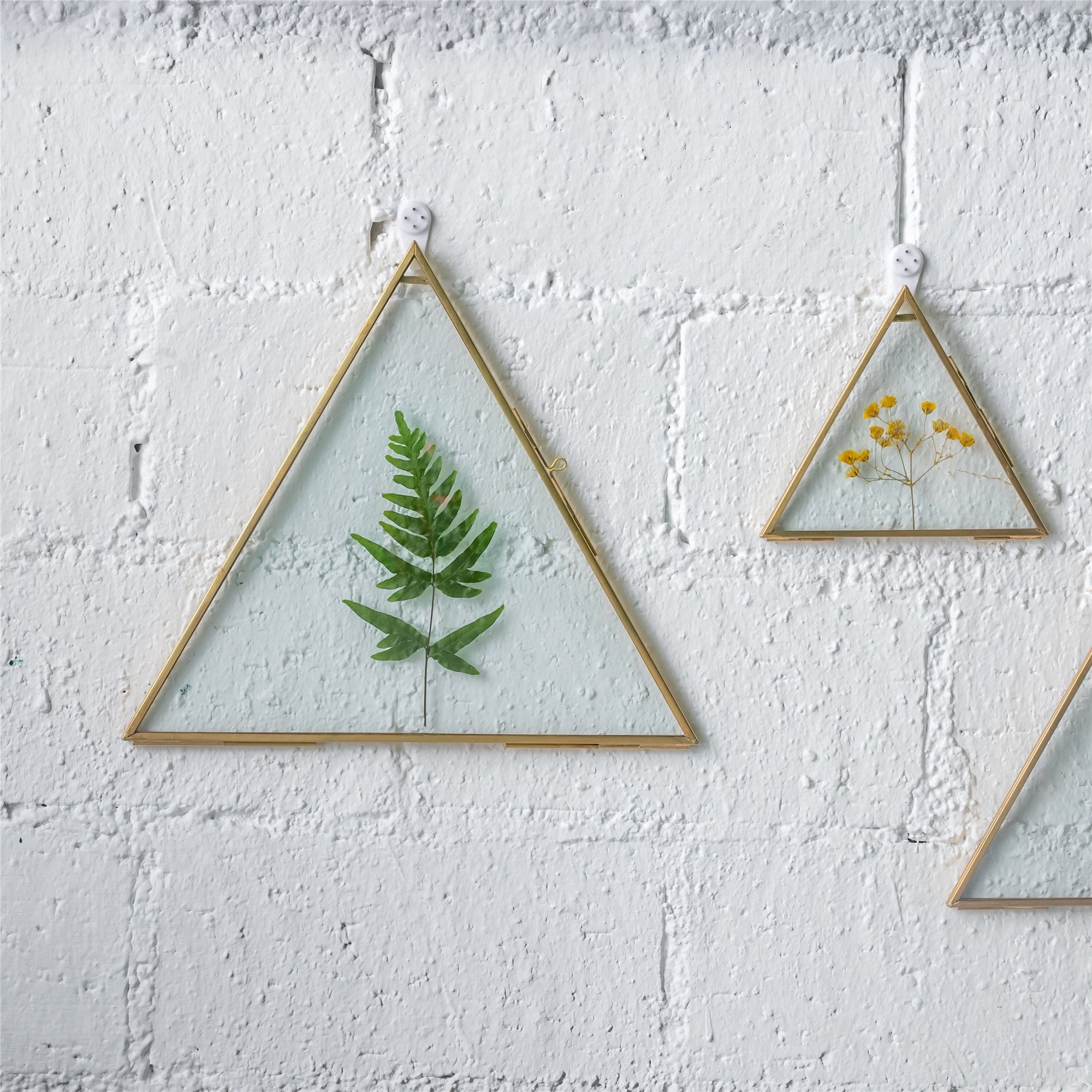 Hanging Triangle Herbarium Brass Glass Frame for Pressed Flowers Dried Flowers Poster - NCYPgarden