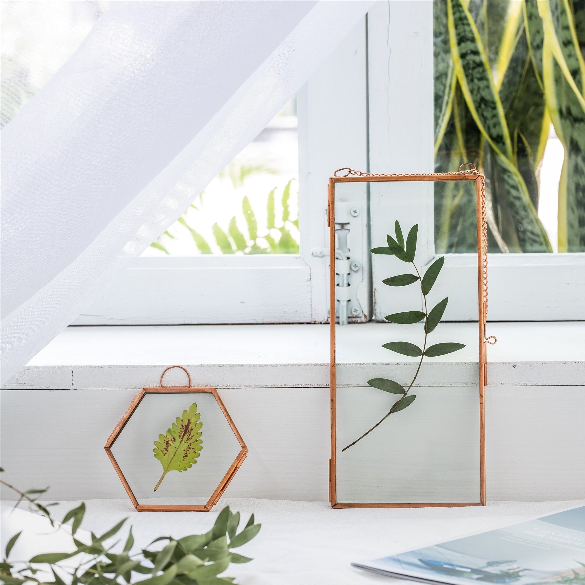 Hanging Small Pink Hexagon Herbarium Copper Glass Frame for Pressed Flowers Dried Flowers - NCYPgarden