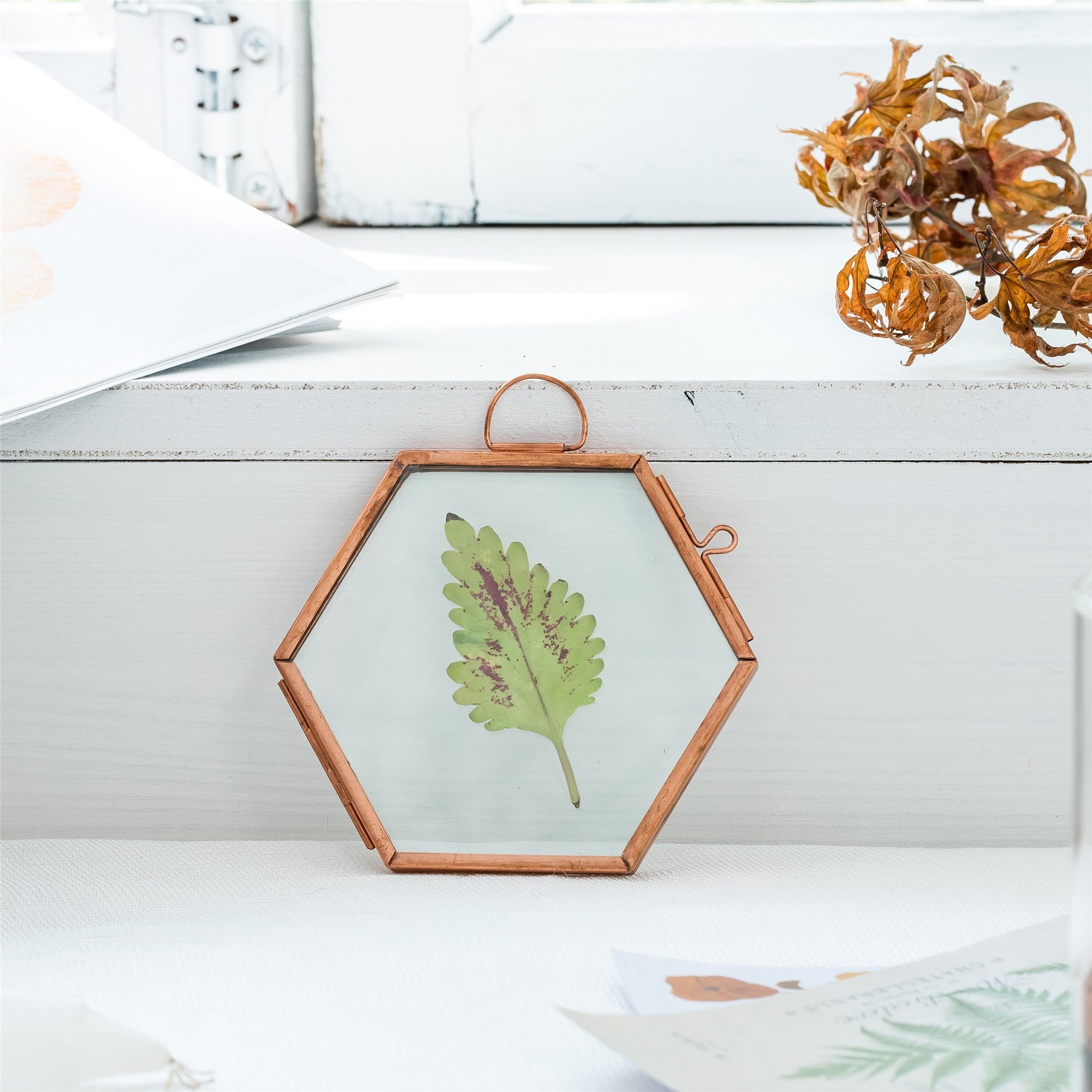 Hanging Small Pink Hexagon Herbarium Copper Glass Frame for Pressed Flowers Dried Flowers - NCYPgarden