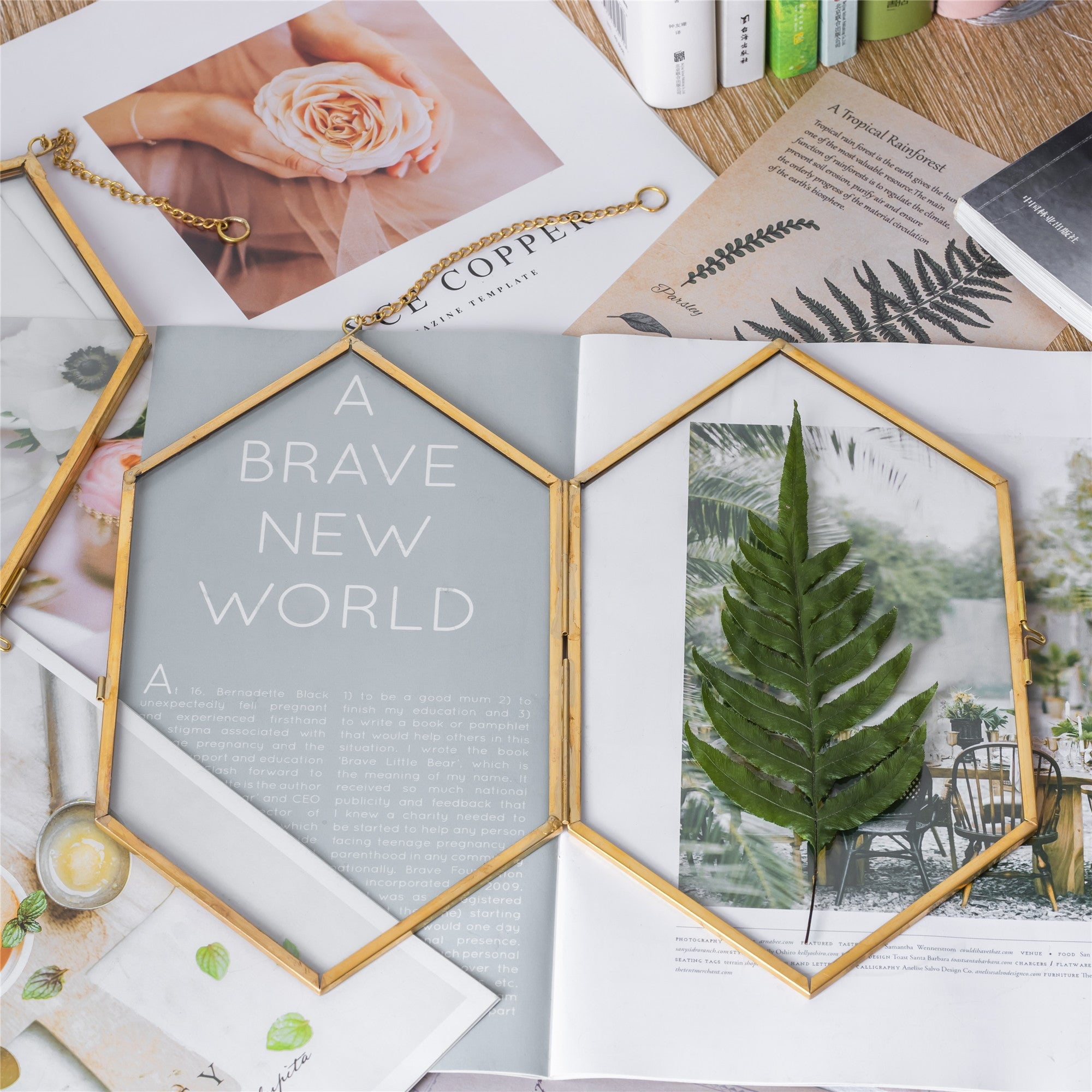 NCYP Vintage Gold Brass Floating Hanging Glass Long Hexagon Photo Frame for Fern, Pressed Flower - NCYPgarden