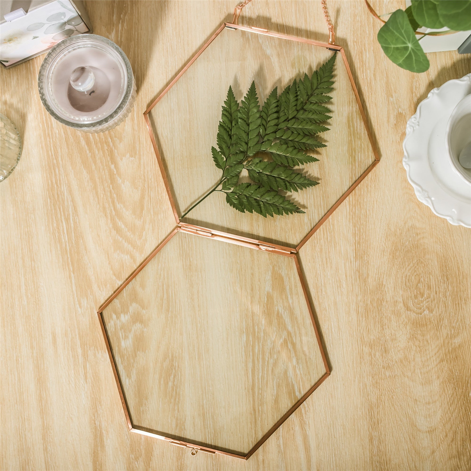 Hanging Hexagon Herbarium Copper Glass Frame for Pressed Flowers Dried Flowers Floating Frame - NCYPgarden