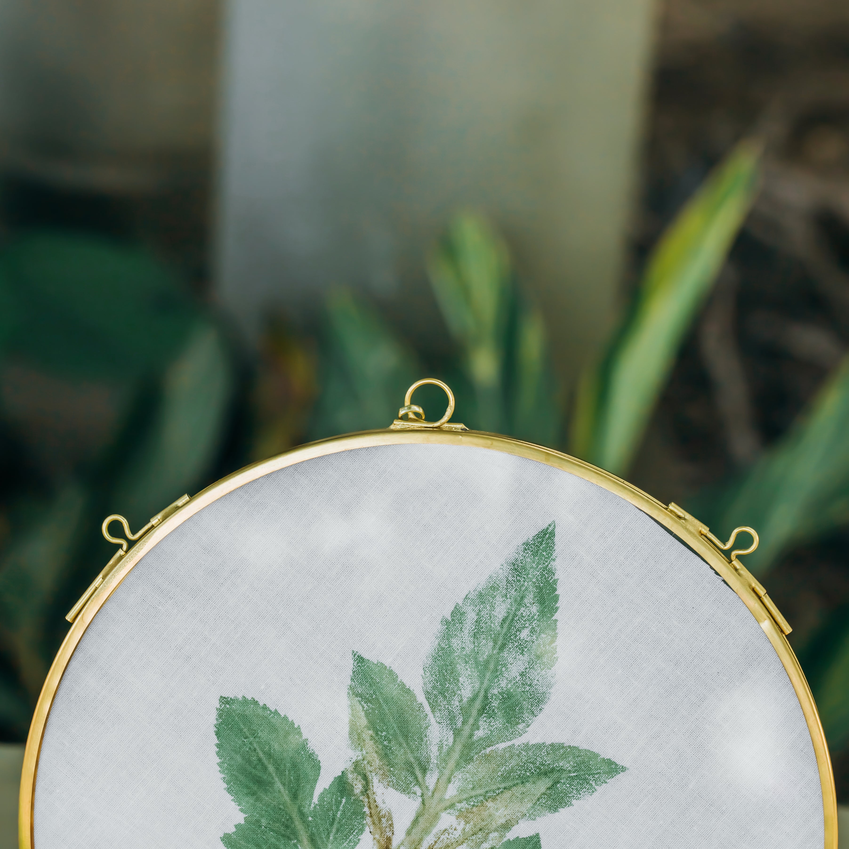 NCYP Wall Hanging Round 8" 10" 12" Herbarium Brass Glass Frame for Pressed Flowers, Poster, Double Glass, floating Frame - NCYPgarden