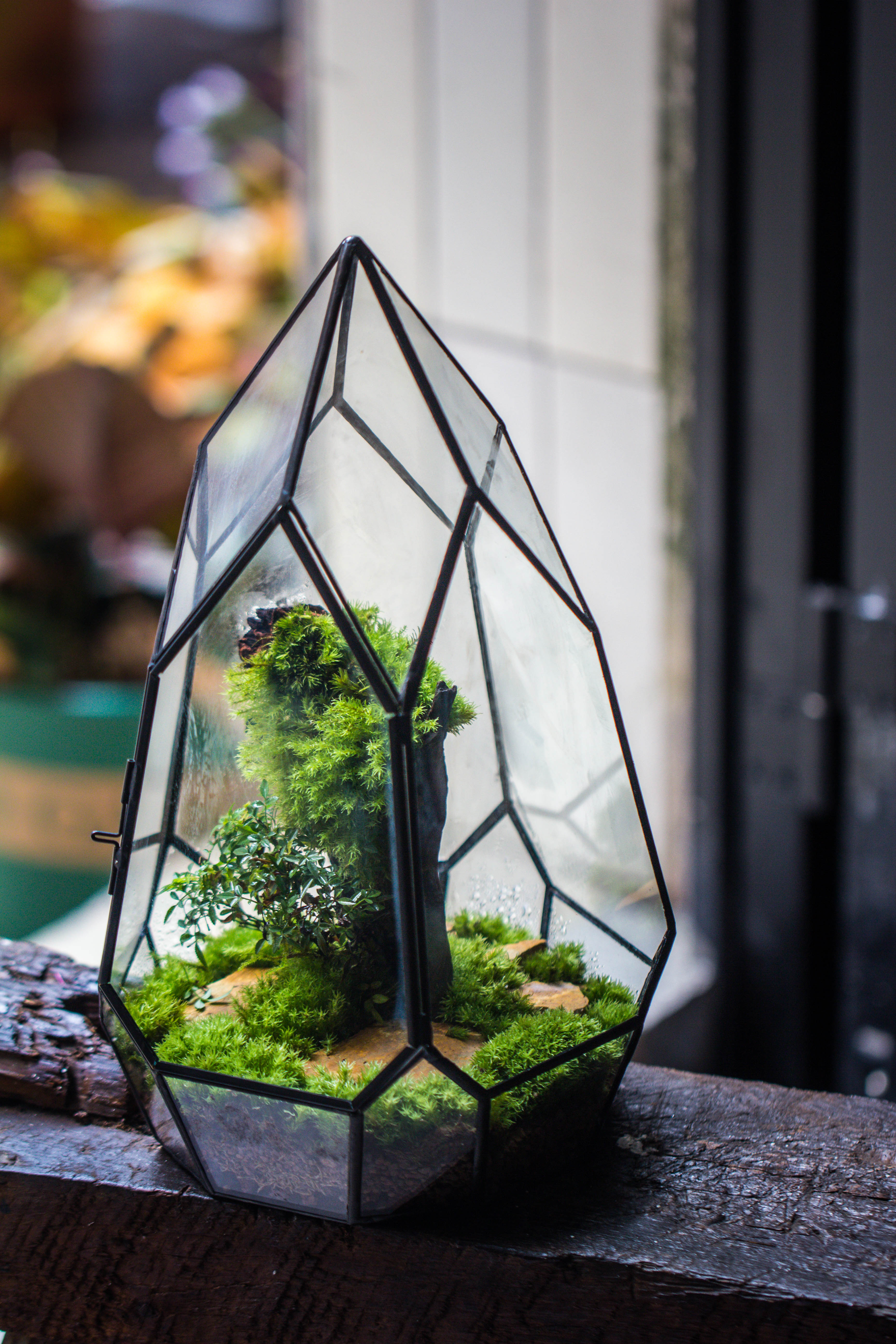 NCYP Irregular Close Geometric Glass Terrarium with door Tall Teardrop Planter Pot Miniature Moss, Tropical Plants Orchid Container - NCYPgarden