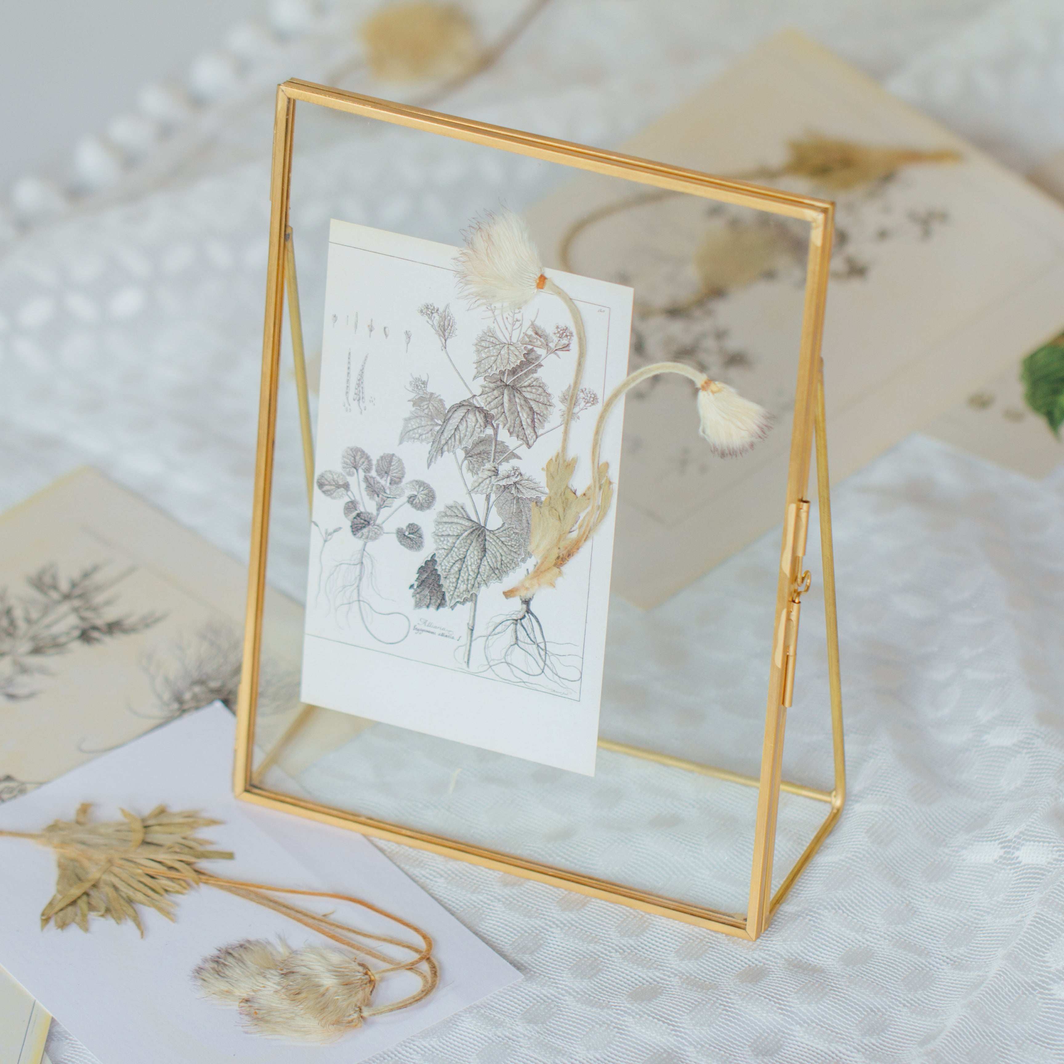 NCYP Tabletop Gold 5x7, 6x8 5.5x7 Brass Glass Photo Picture Display Frame - NCYPgarden