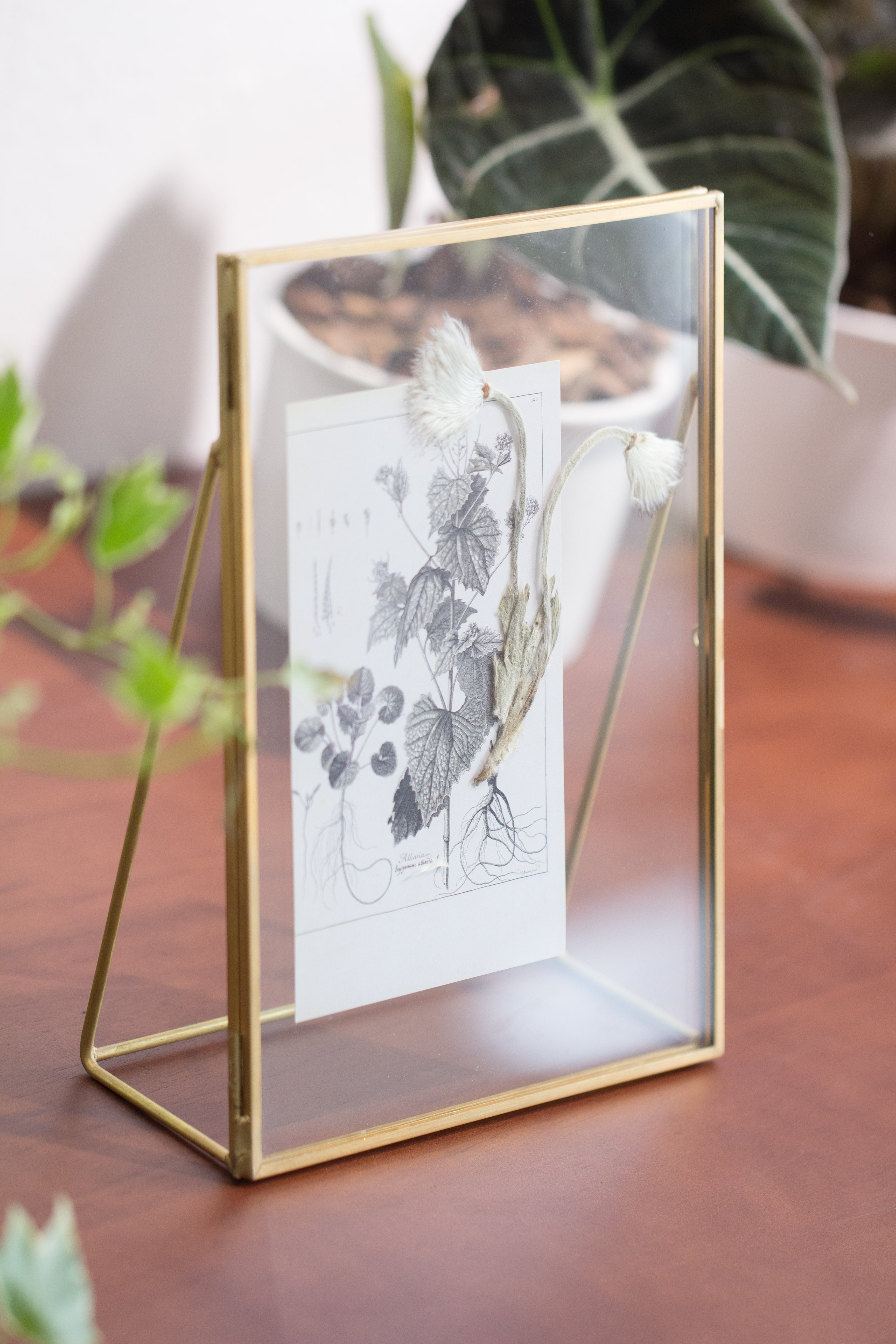 NCYP Tabletop Gold 5x7, 6x8 5.5x7 Brass Glass Photo Picture Display Frame - NCYPgarden