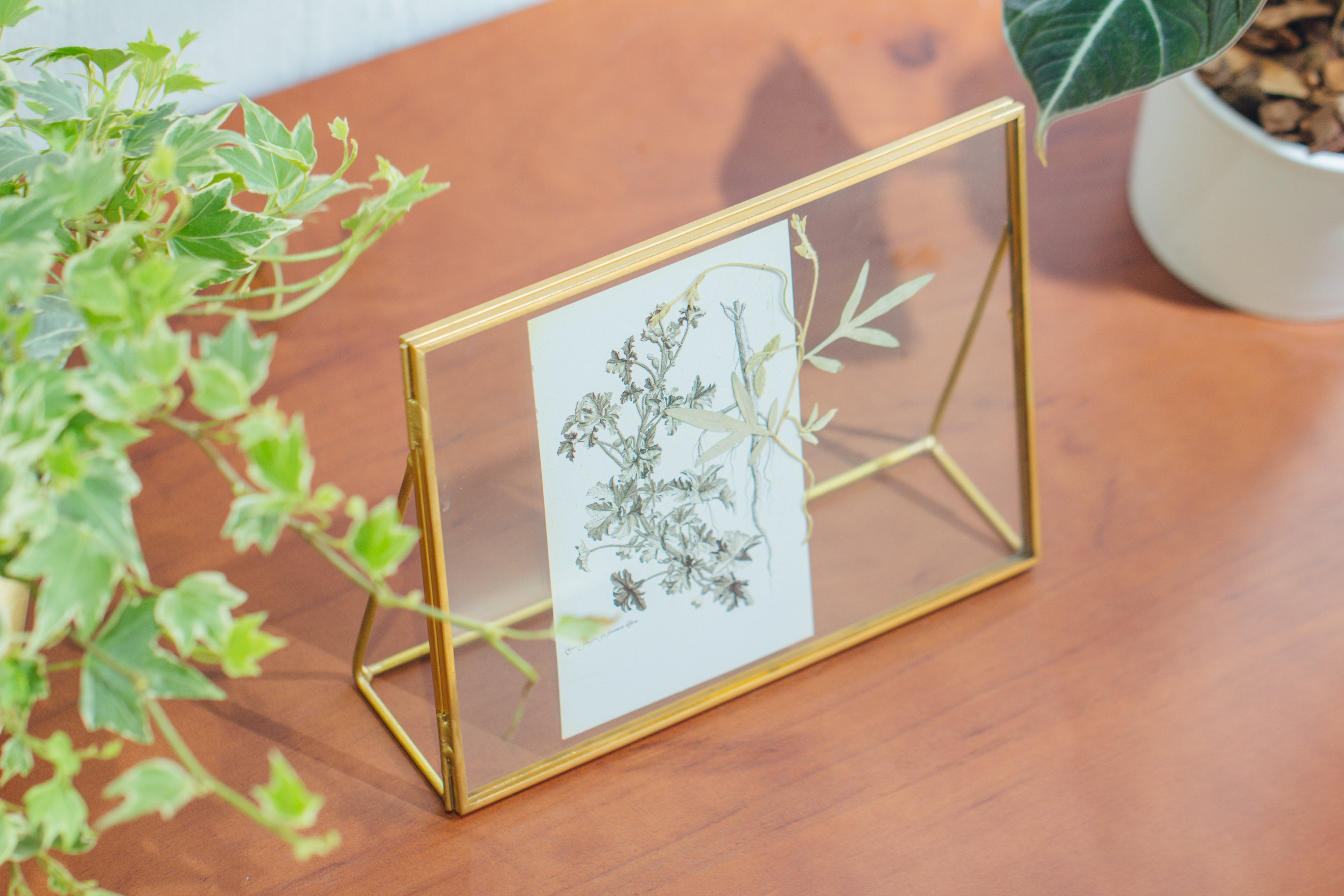 NCYP Tabletop Gold 5x7, 6x8 5.5x7 Brass Glass Photo Picture Display Frame - NCYPgarden