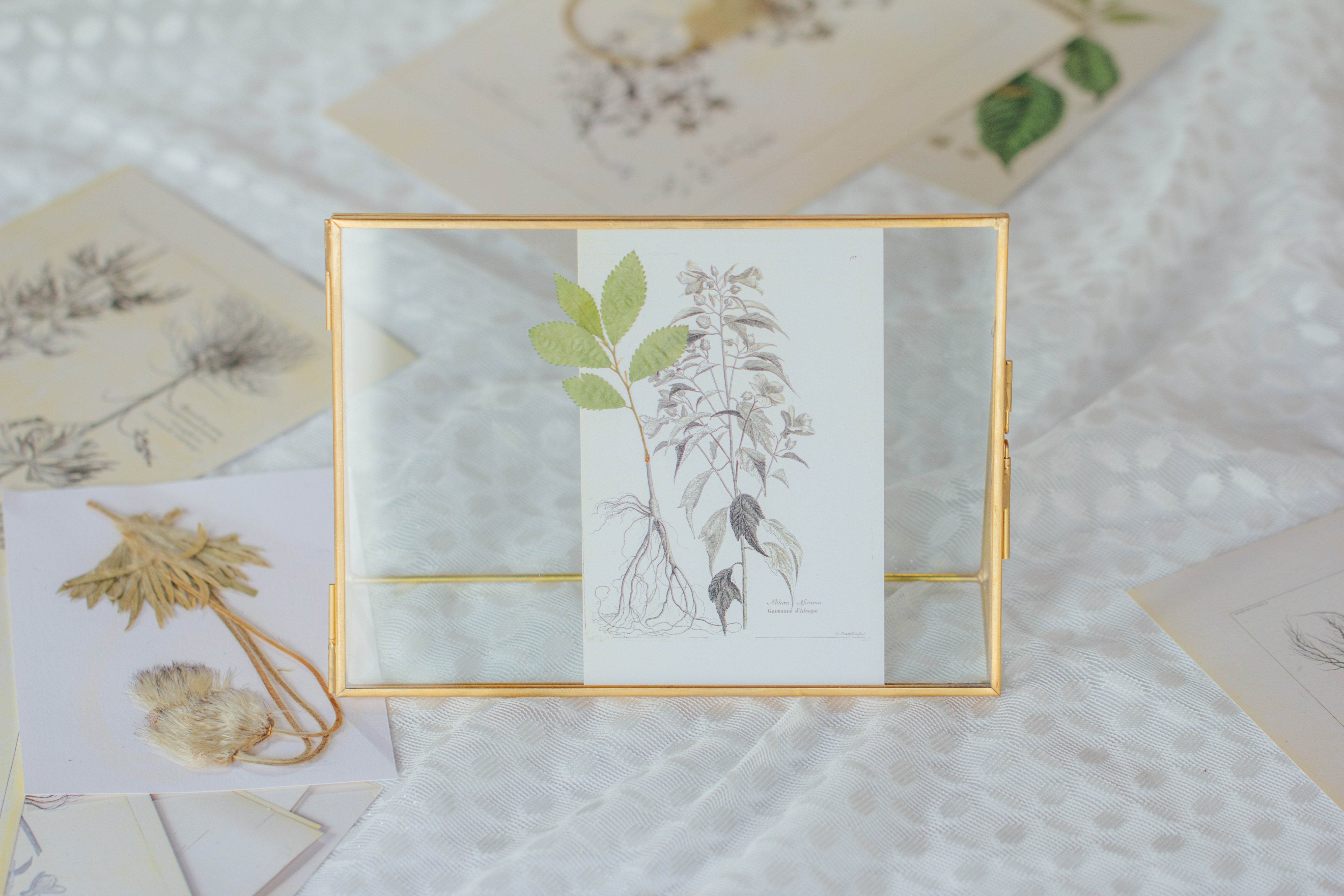 NCYP Tabletop Gold 5x7, 6x8 5.5x7 Brass Glass Photo Picture Display Frame - NCYPgarden