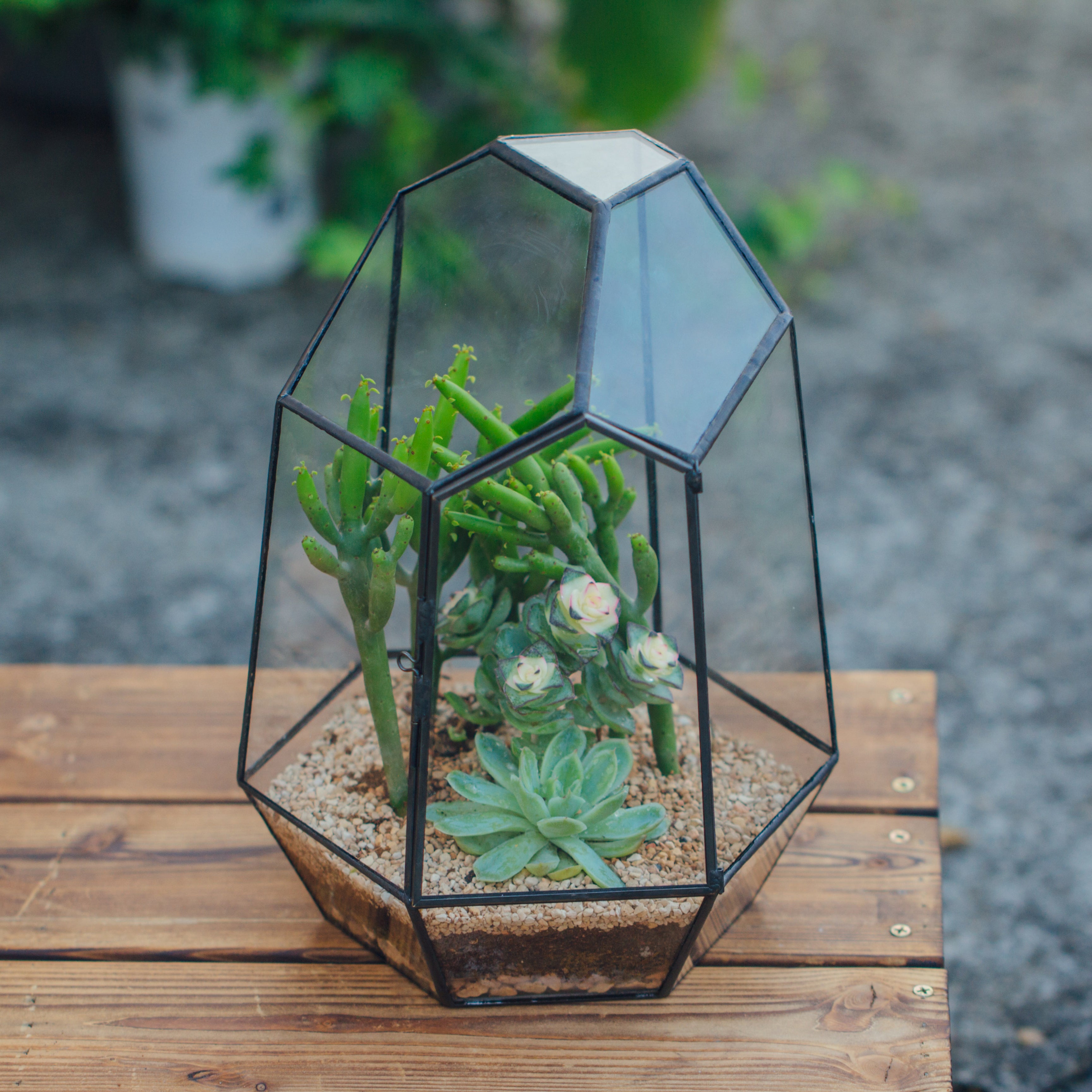 NCYP Close Geometric Glass Terrarium with Door, Tin Sealed Irregular Tall Planter Succulent Cacti Fern Flower Pot - NCYPgarden