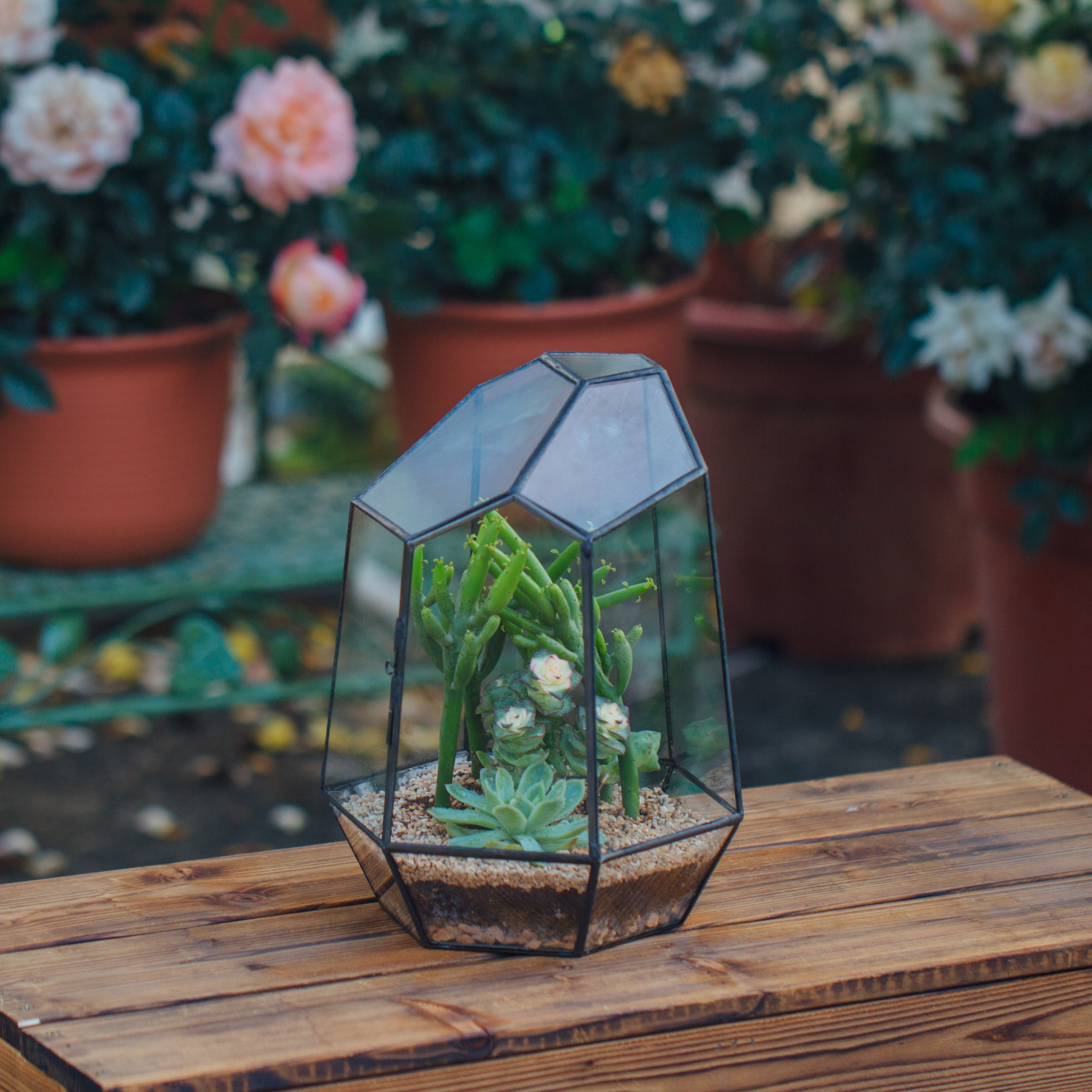 NCYP Close Geometric Glass Terrarium with Door, Tin Sealed Irregular Tall Planter Succulent Cacti Fern Flower Pot - NCYPgarden