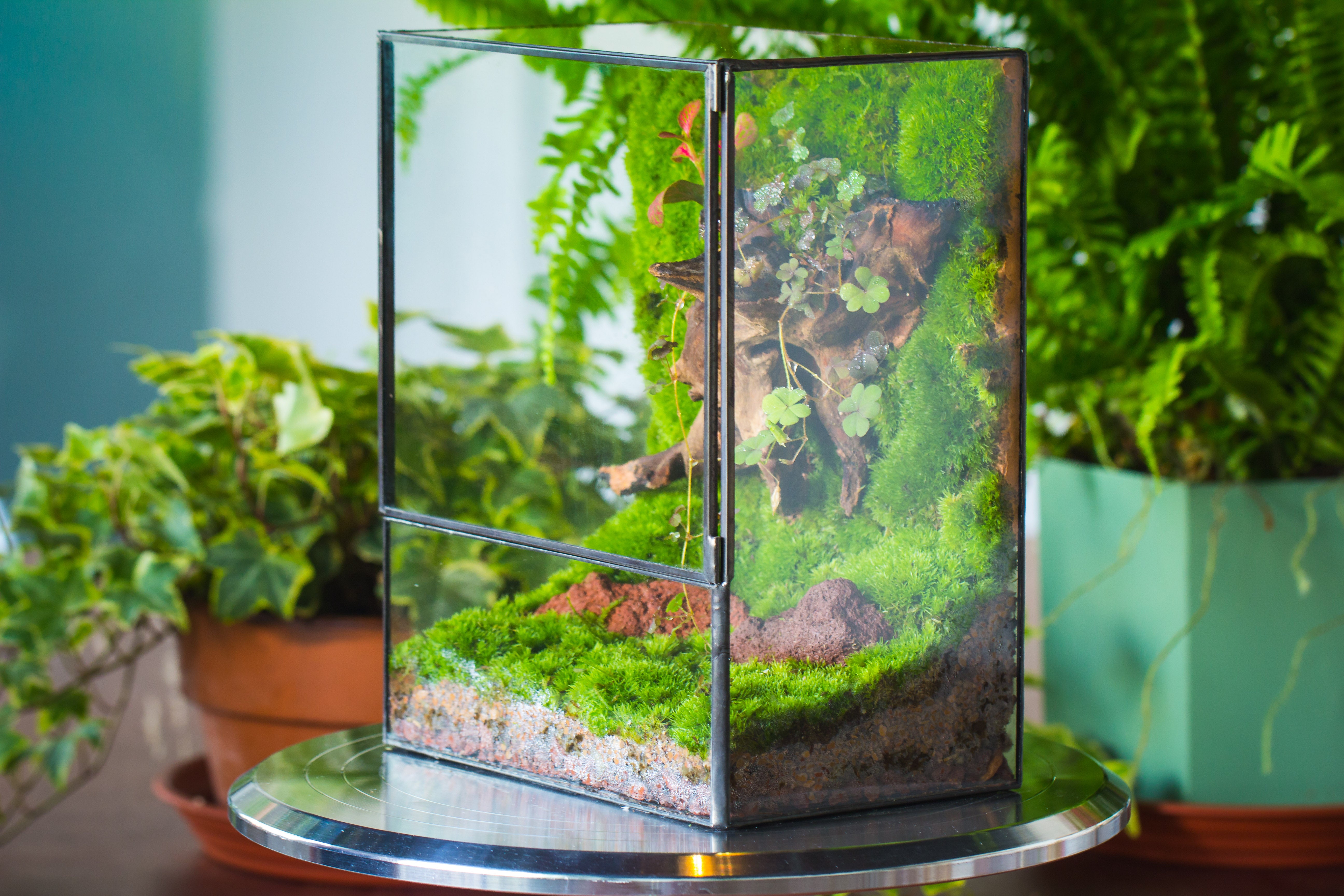 NCYP Close Geometric Glass Terrarium with Door, Tin Sealed  Rectangle Tall Moss wall Planter for Moss Wall, Fern, Landscape - NCYPgarden