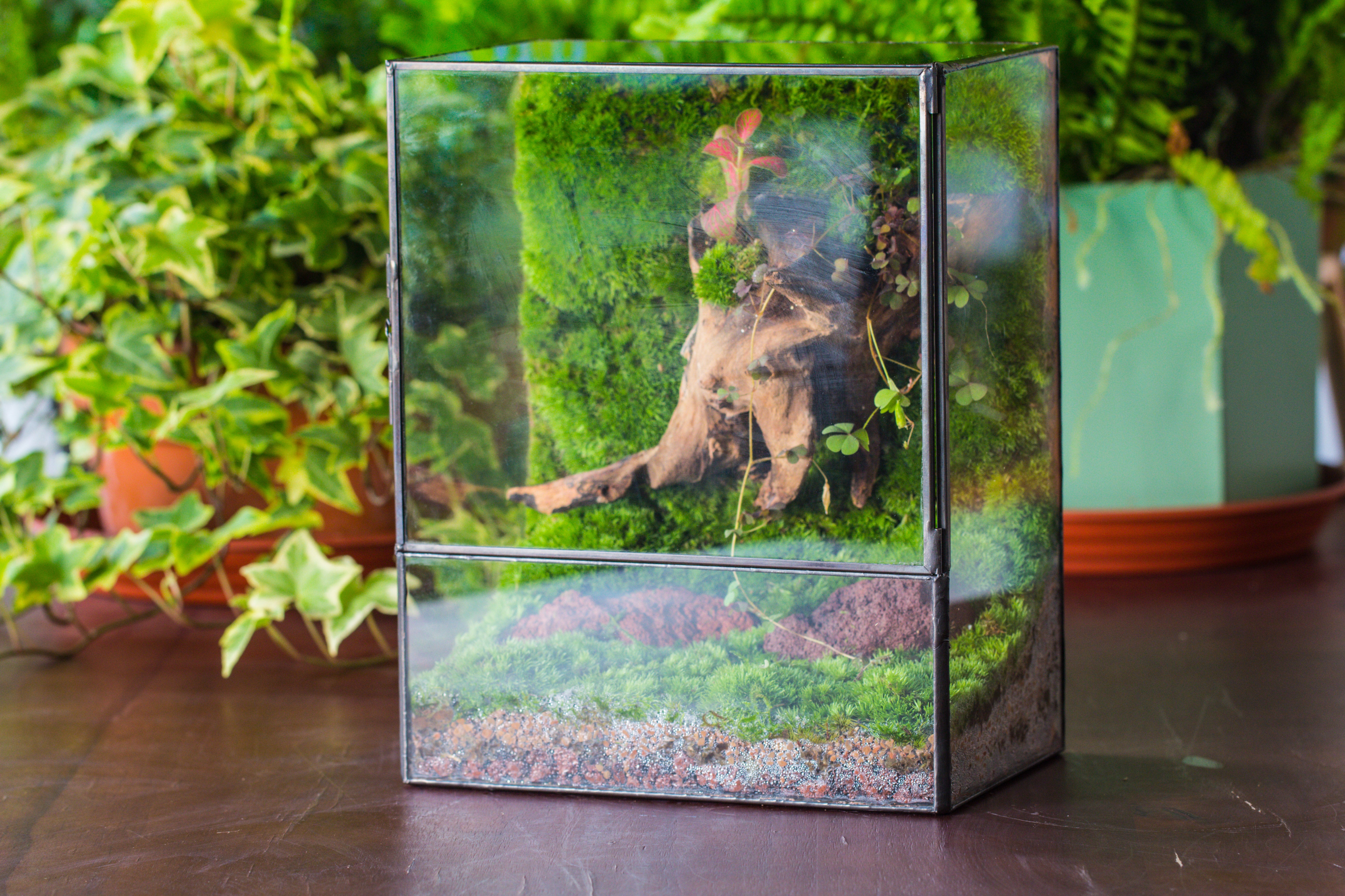 NCYP Close Geometric Glass Terrarium with Door, Tin Sealed  Rectangle Tall Moss wall Planter for Moss Wall, Fern, Landscape - NCYPgarden